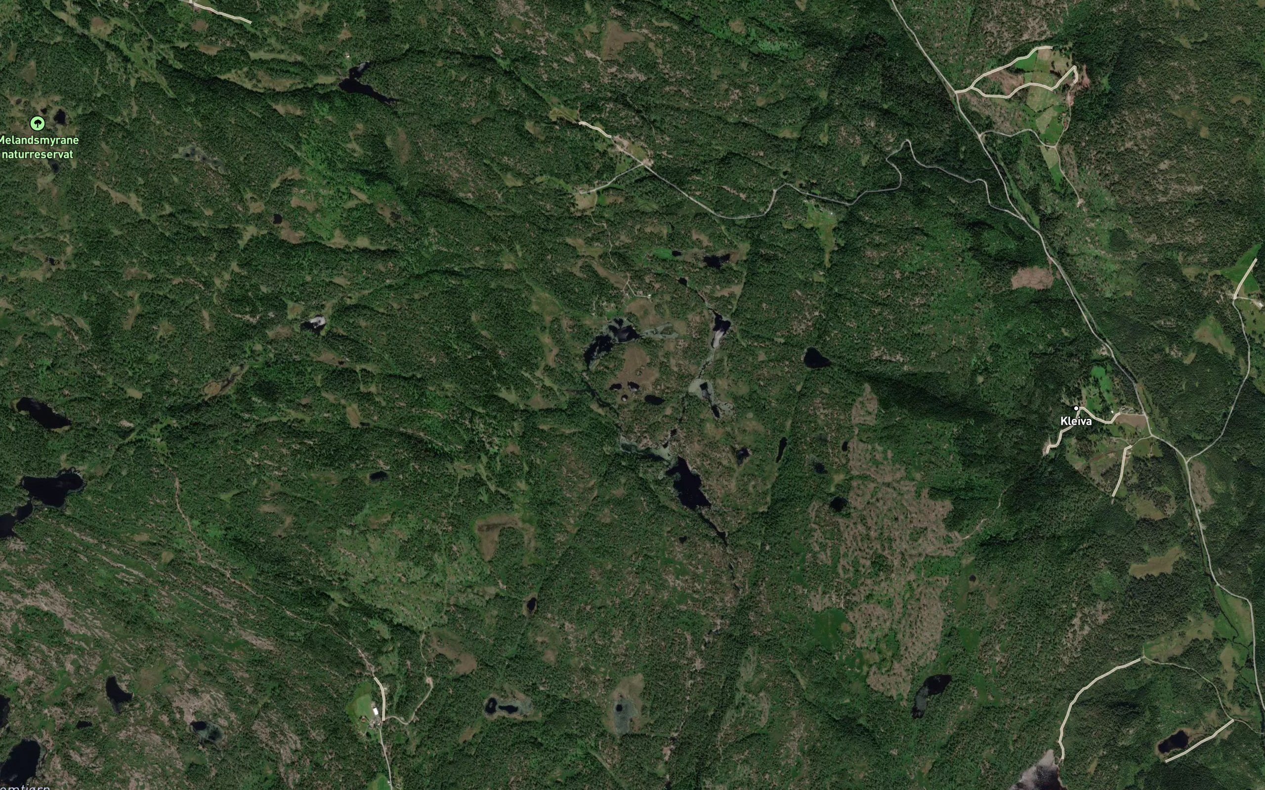 Firtjonnan