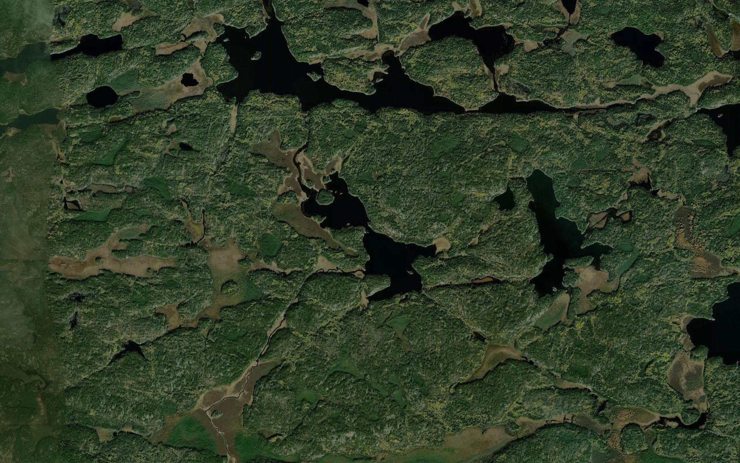 Gale Lake