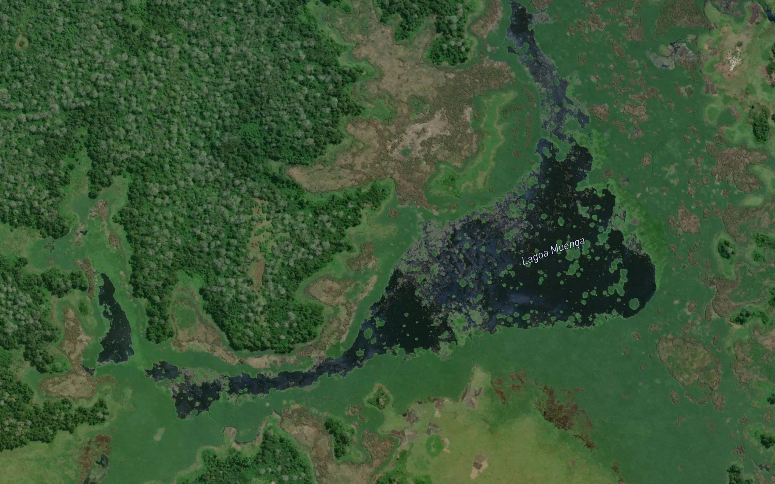 Lagoa Muenga