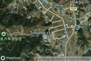Sinjangjeosuji