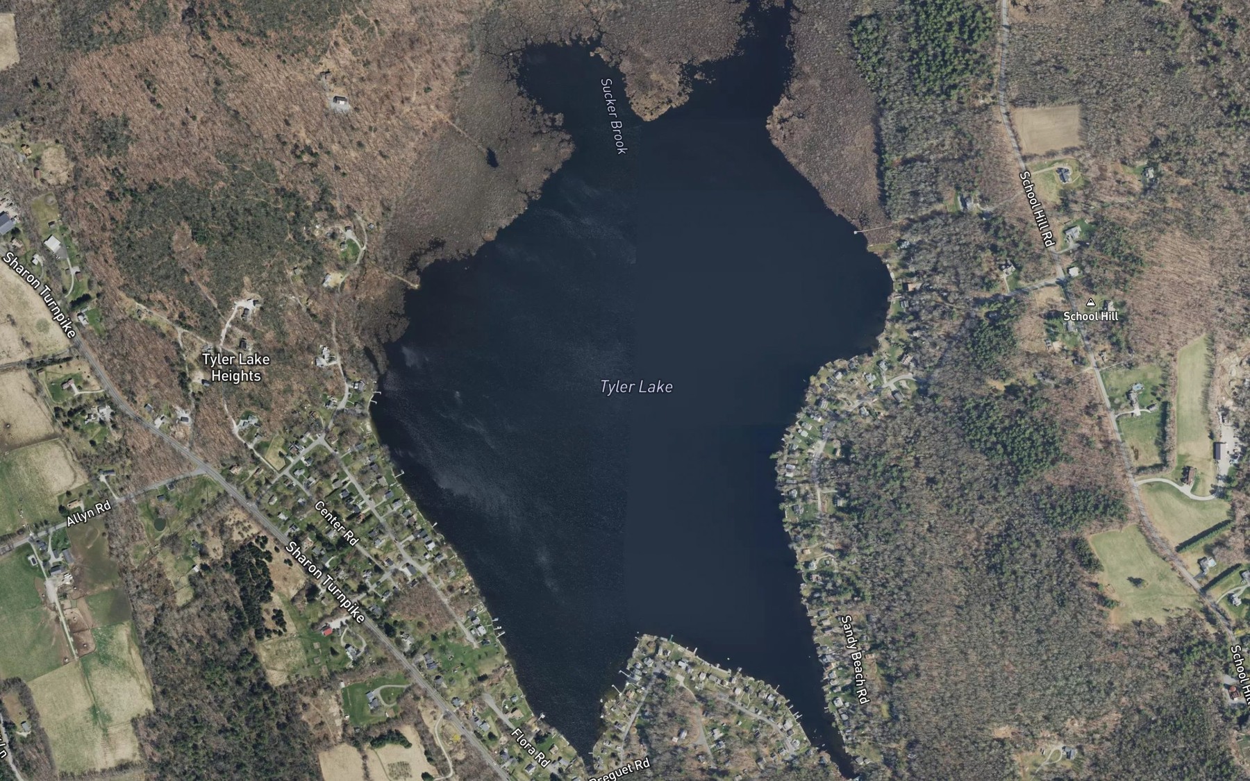 Satellite map of the Tyler Lake