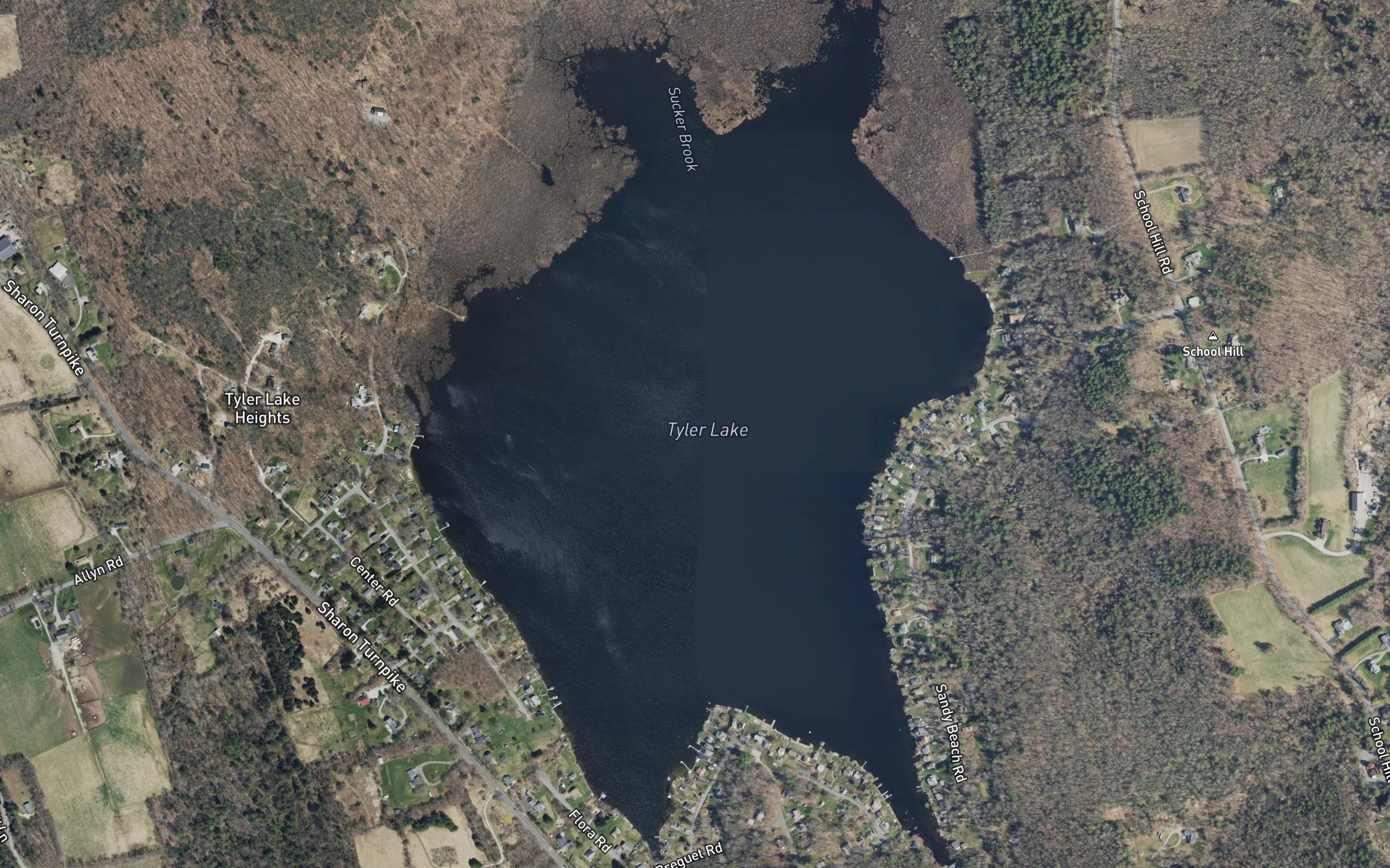 Tyler Lake