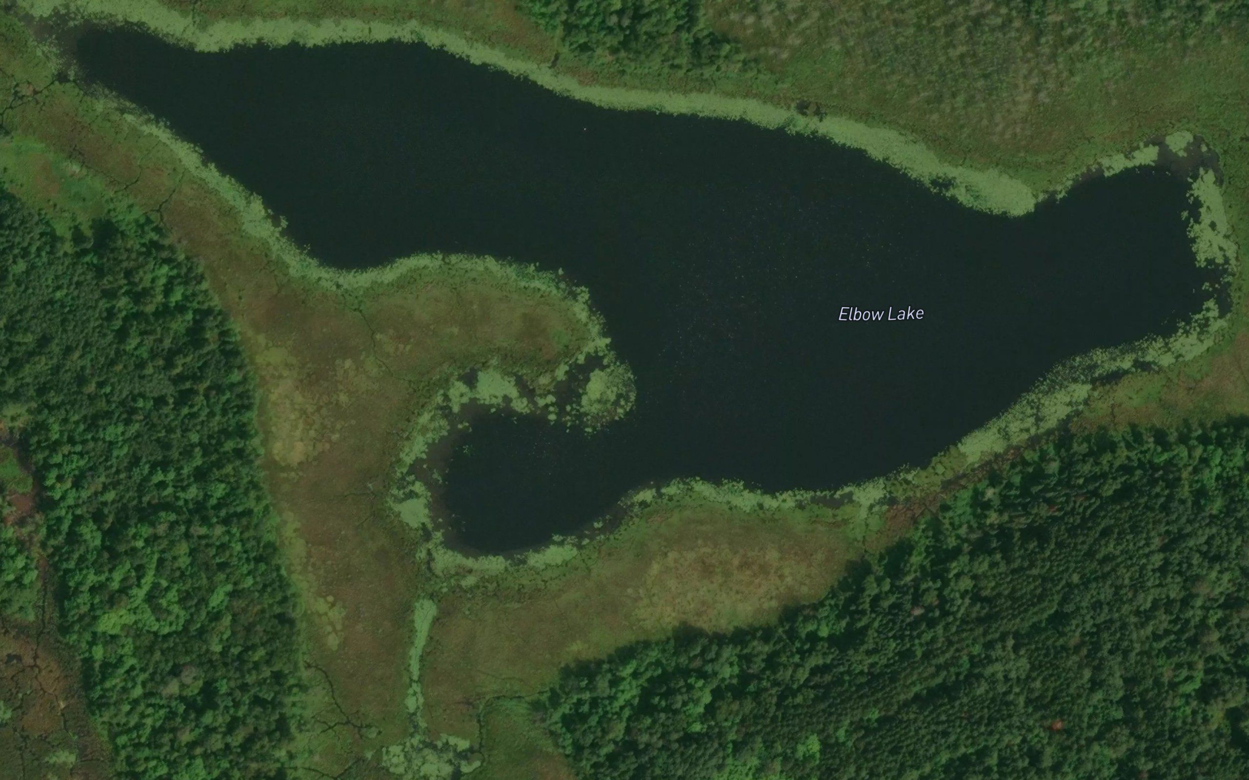 Elbow Lake