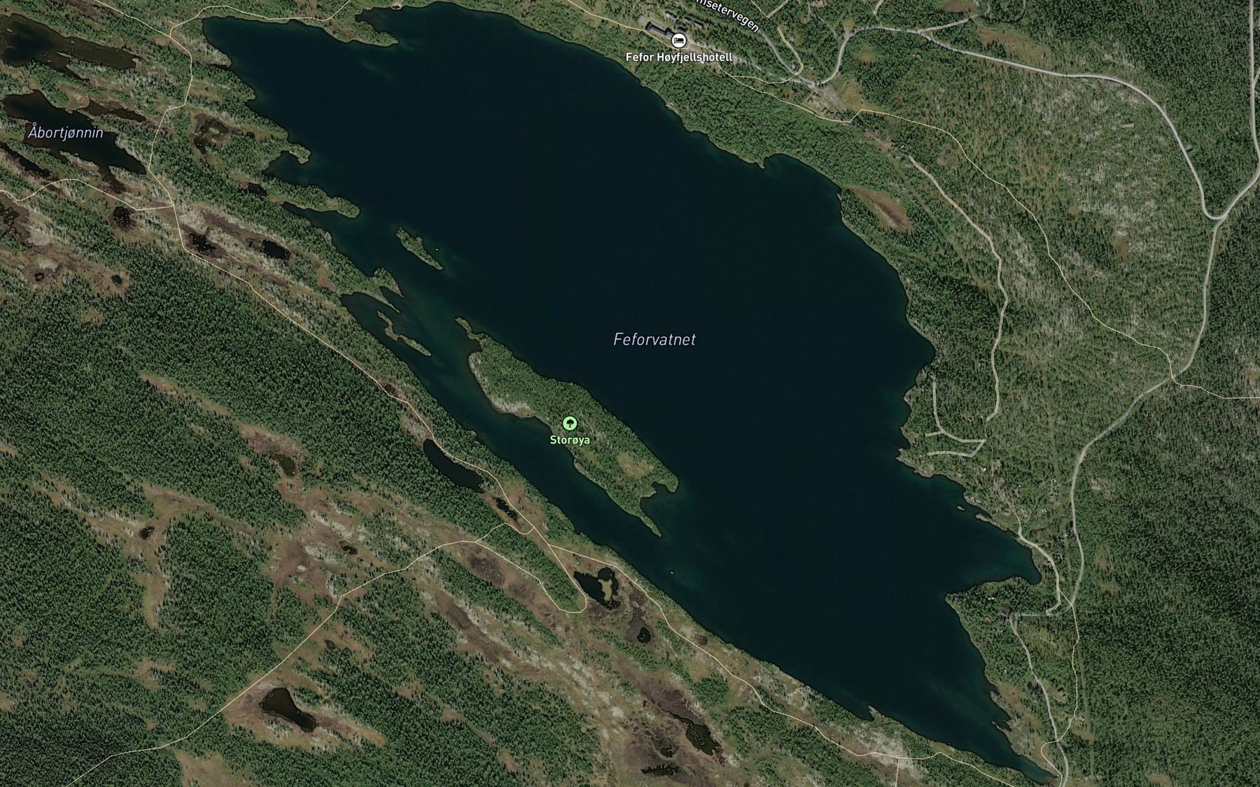 Satellite map of the Feforvatnet
