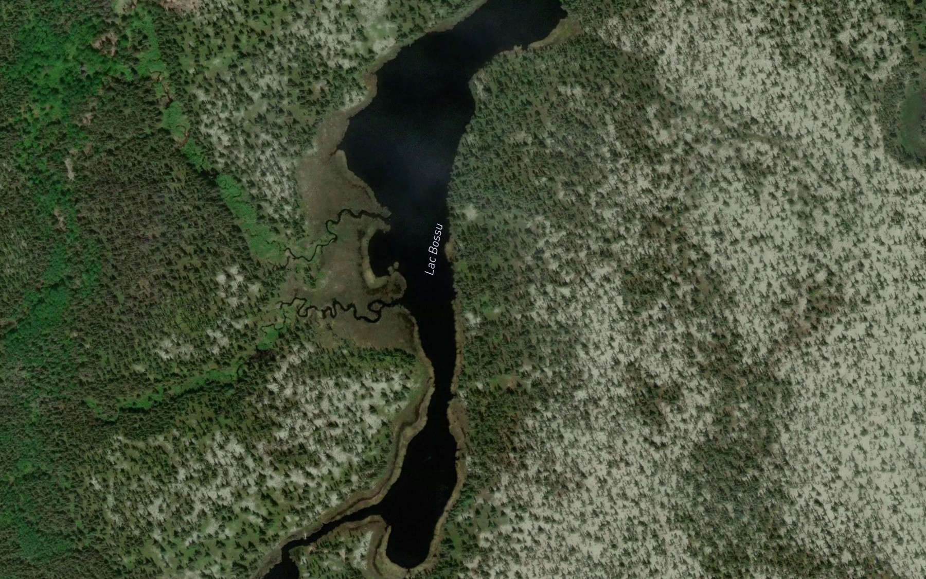 Satellite map of the Lac Bossu