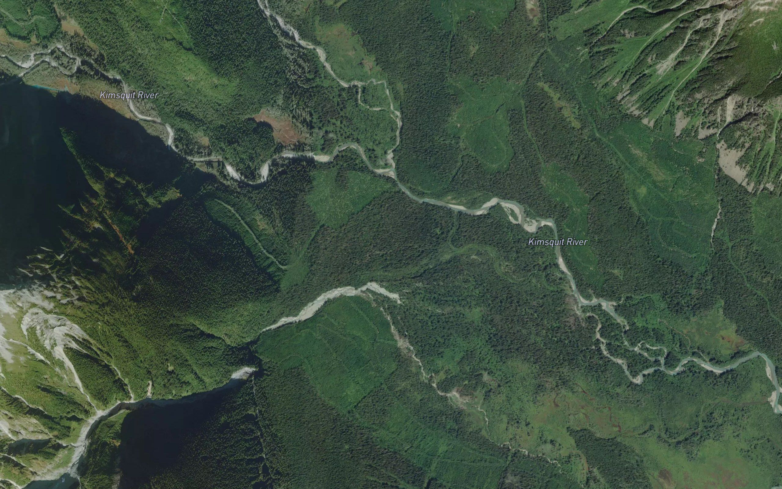 Foresight Creek