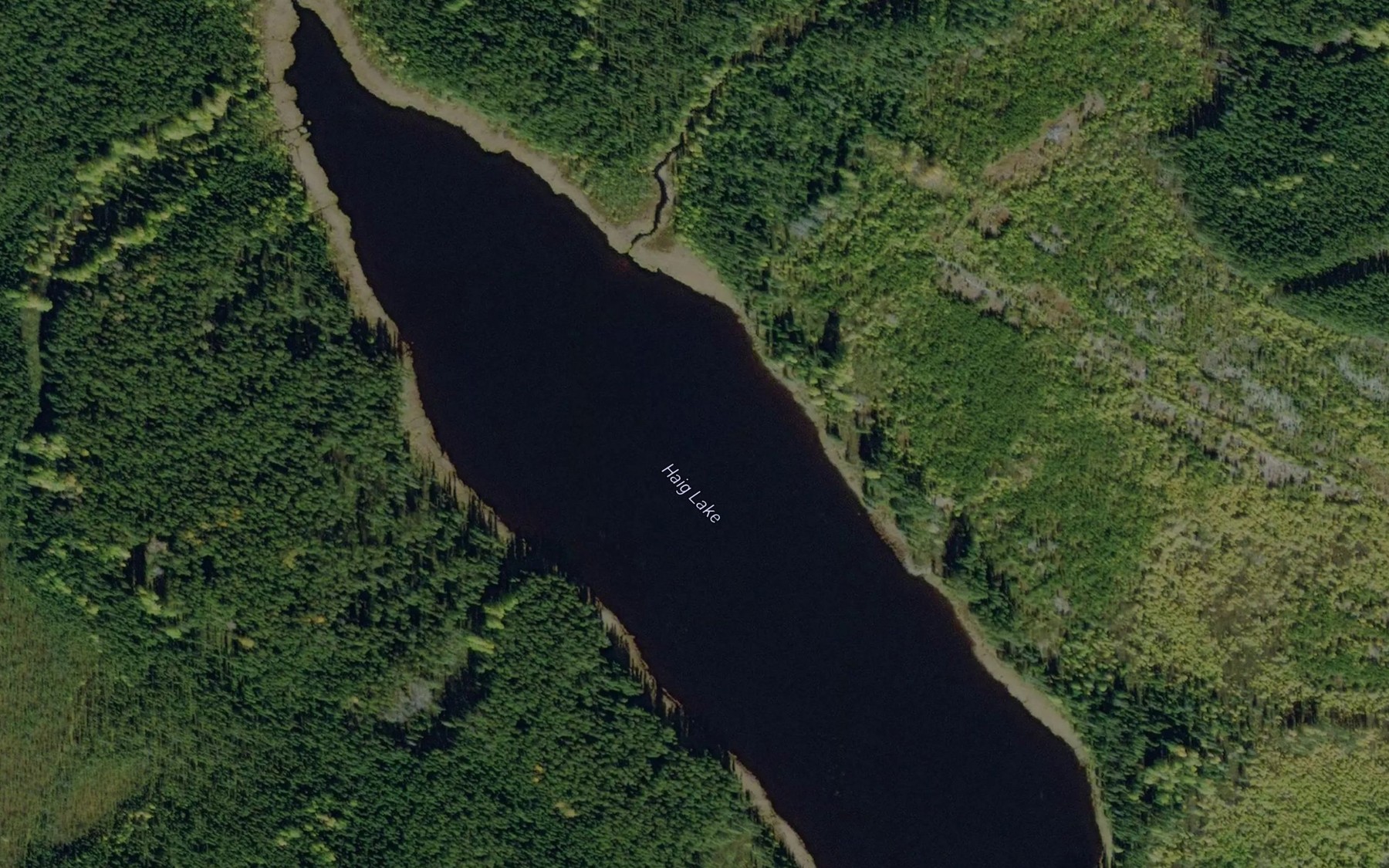 Satellite map of the Haig Lake
