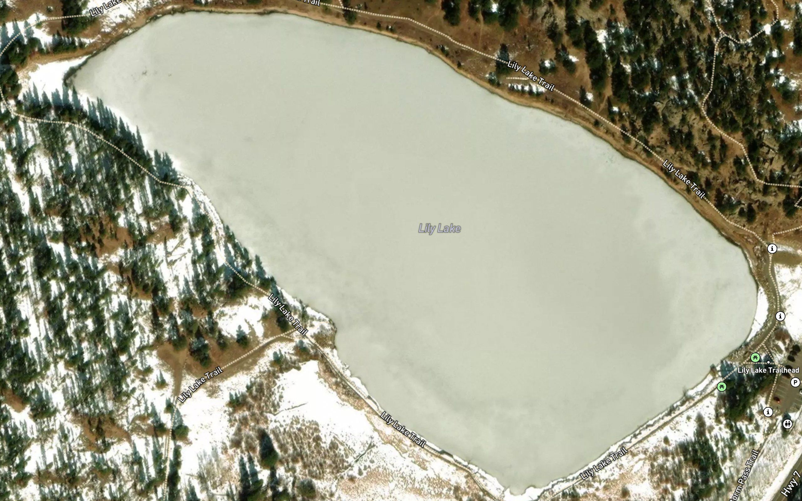 Lily Lake