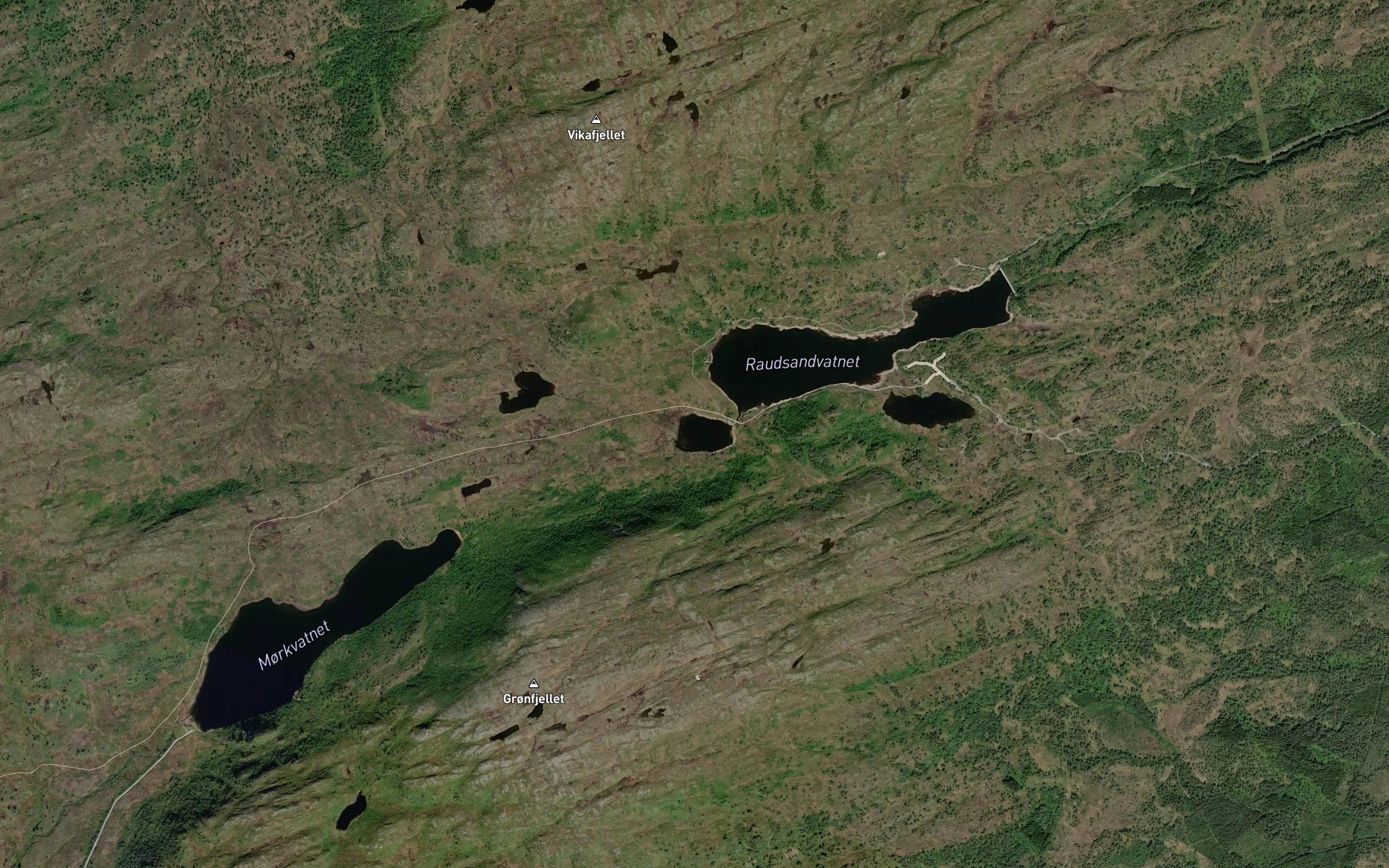 Morklitjonna