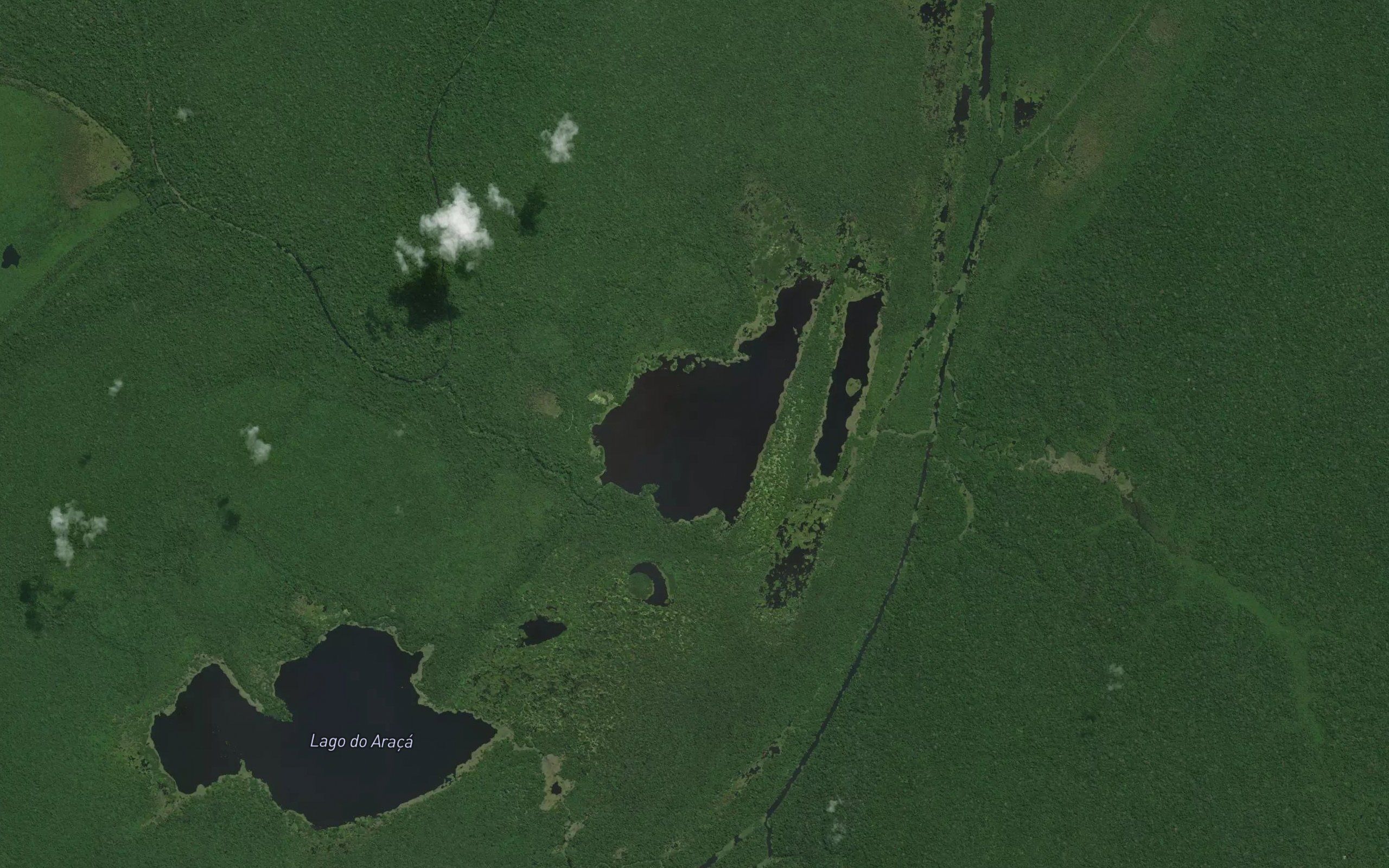 Lago Apui
