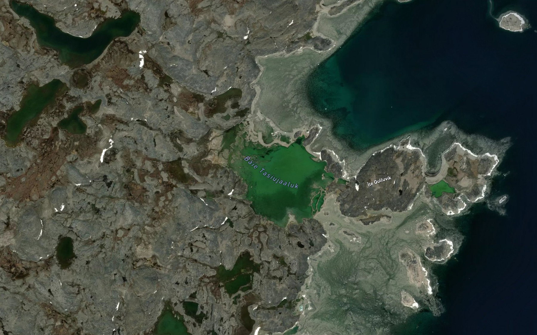Satellite map of the Baie Tasiujaaluk