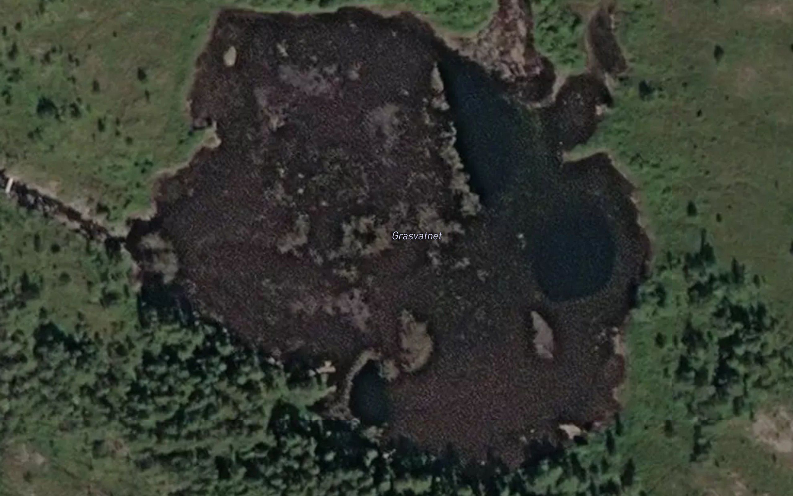 Grasvatnet