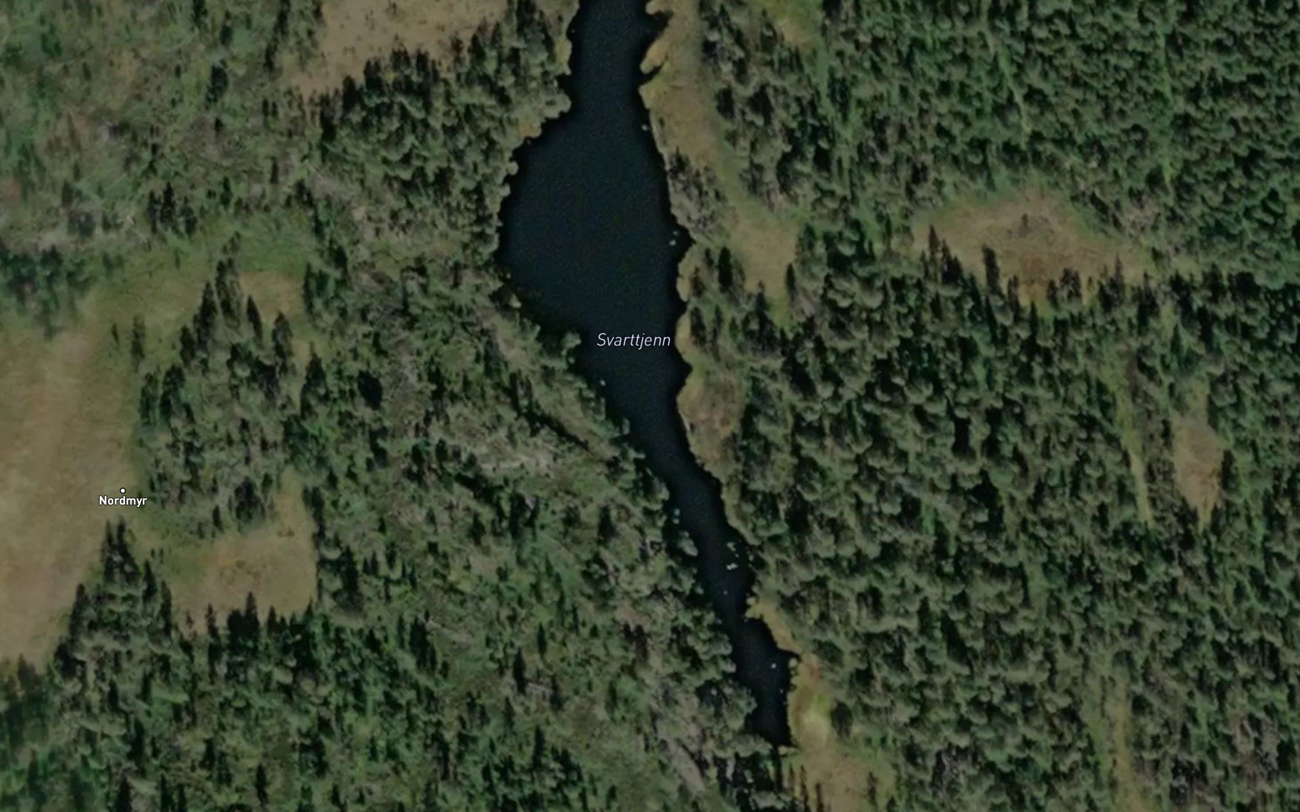 Svarttjern