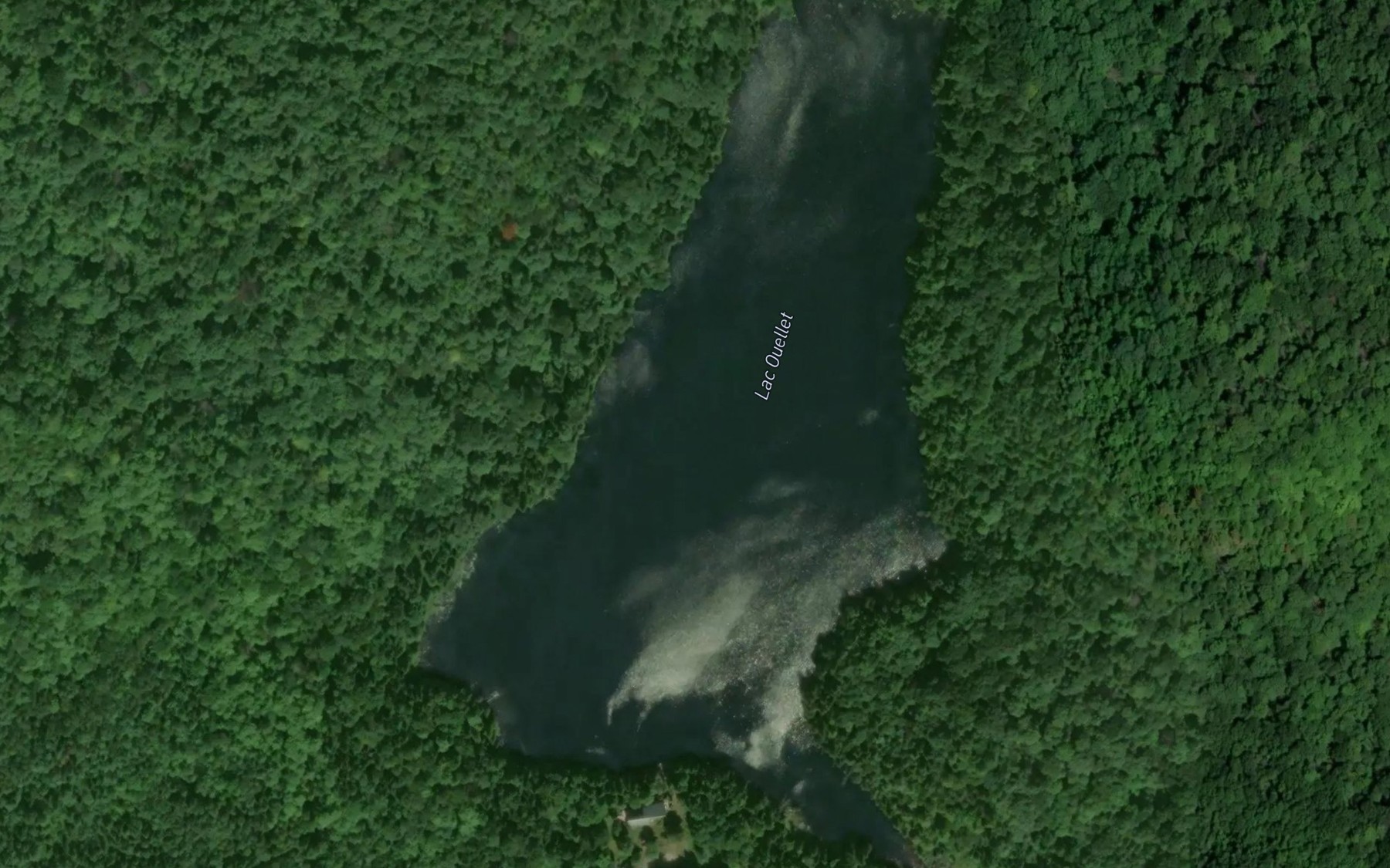 Satellite map of the Lac Ouellet