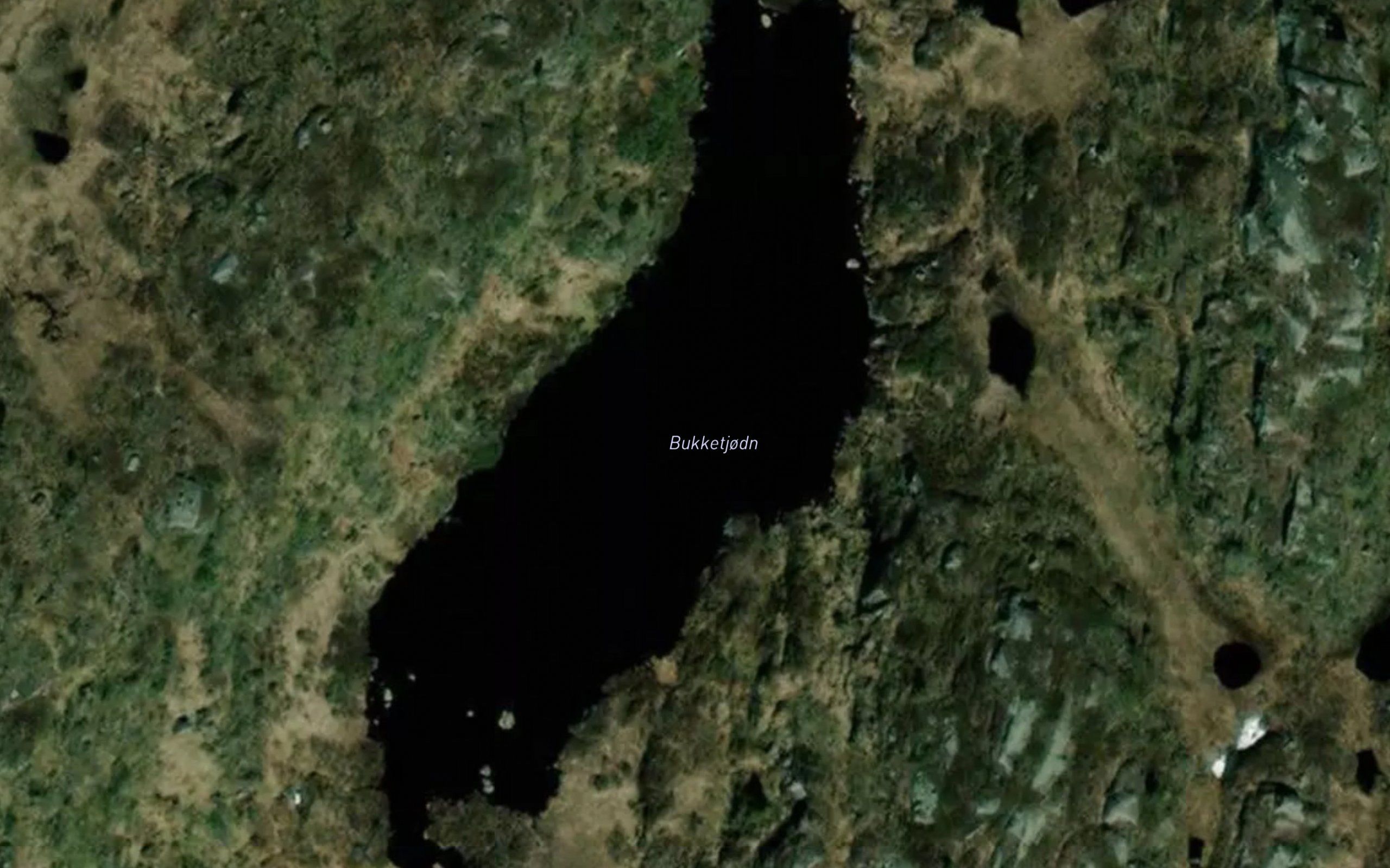 Bukketjodn