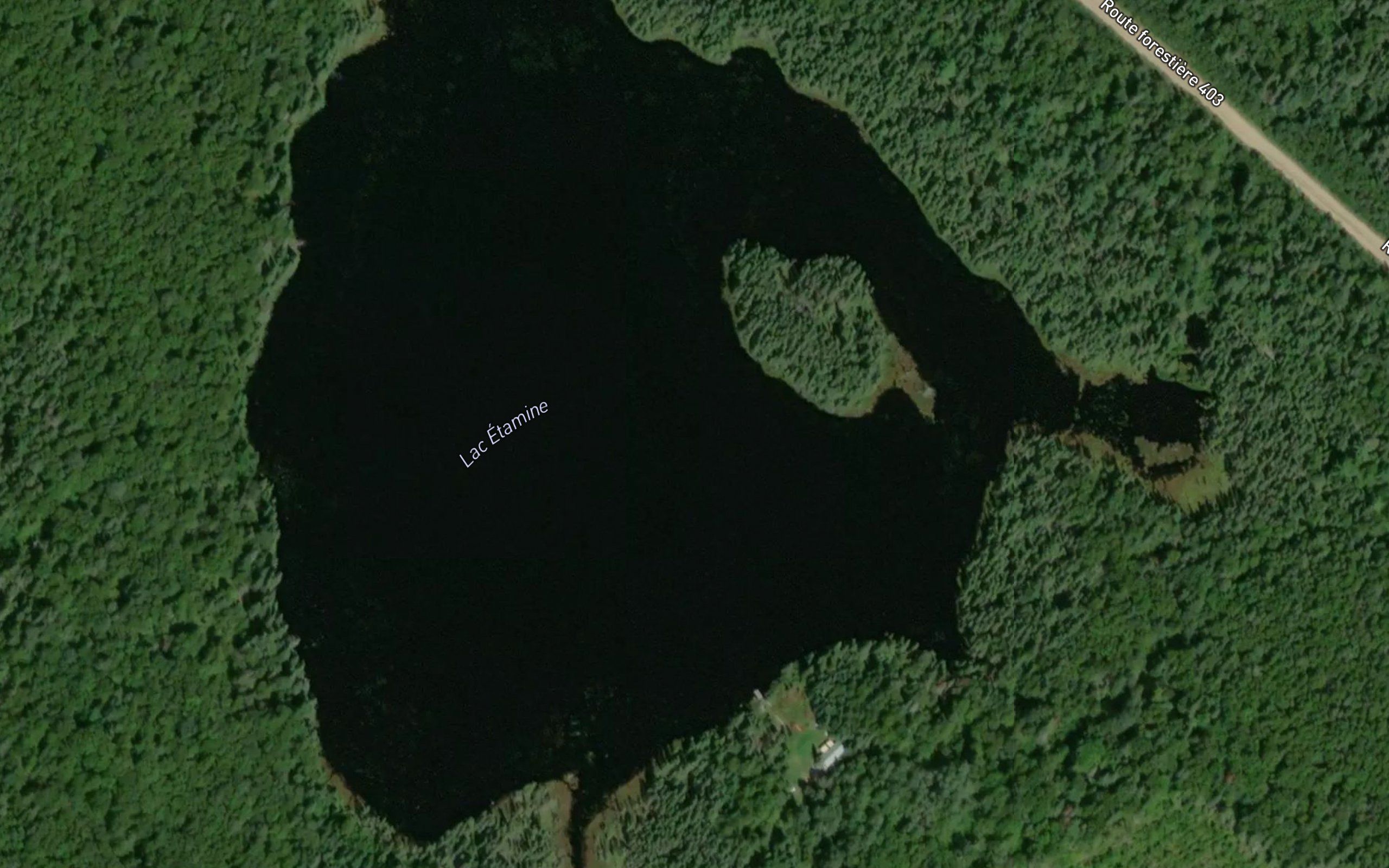 Lac Etamine