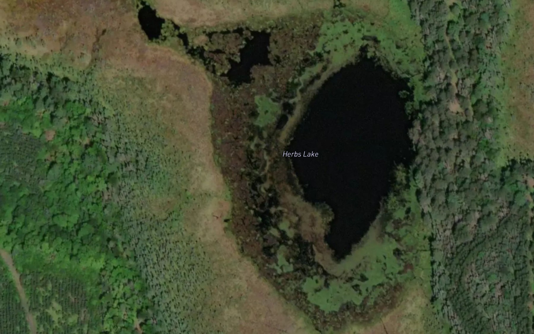Satellite map of the Herbs Lake