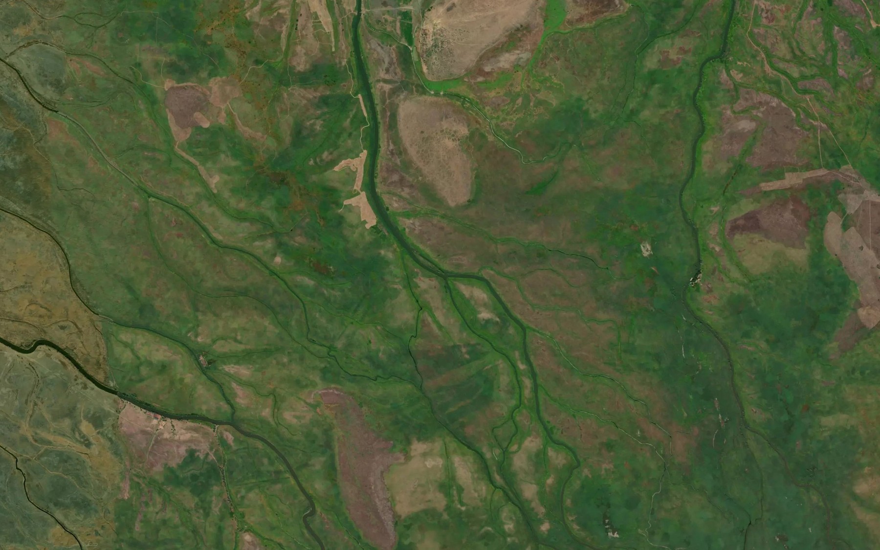 Satellite map of the Rychanskaya