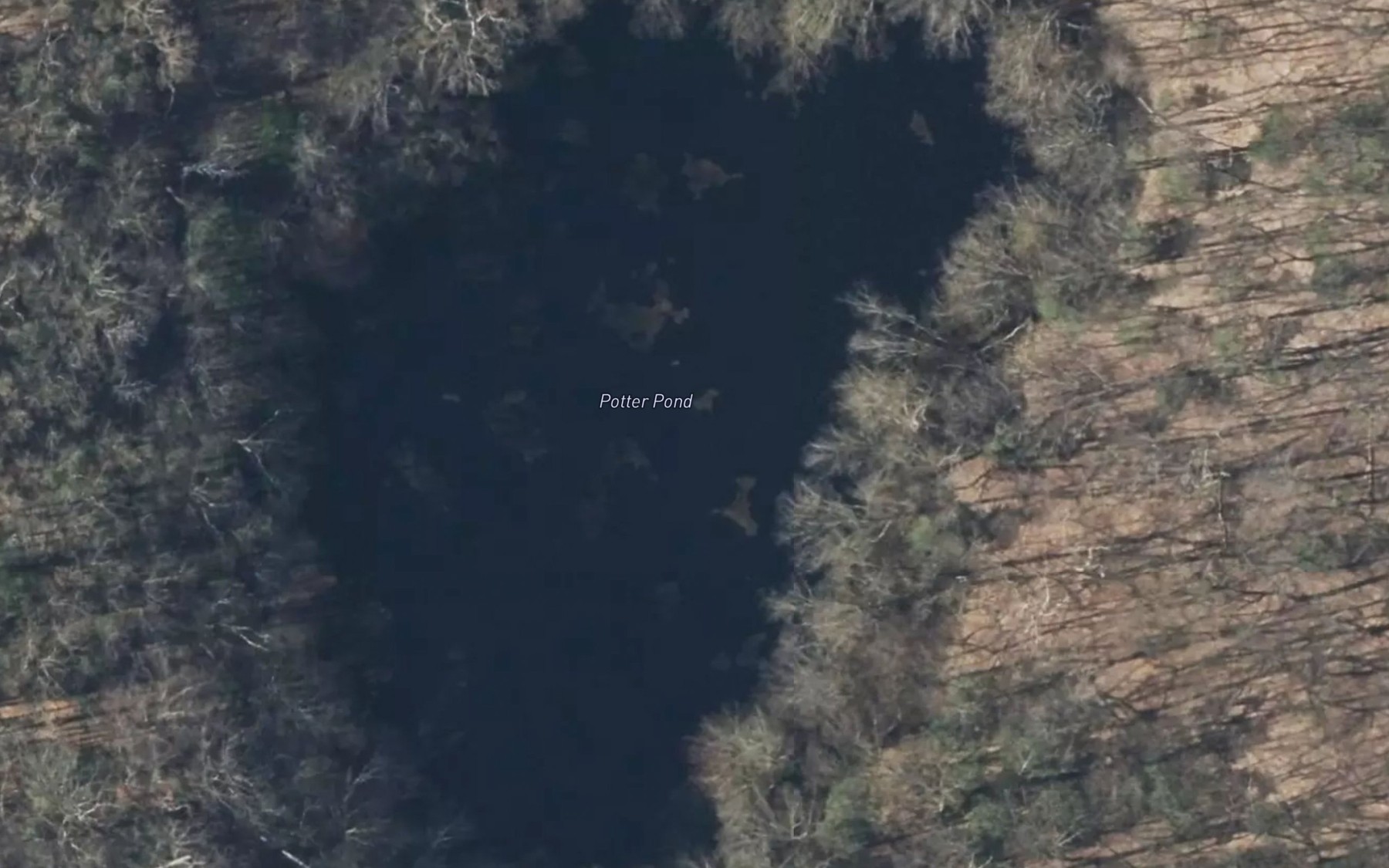 Satellite map of the Potter Pond