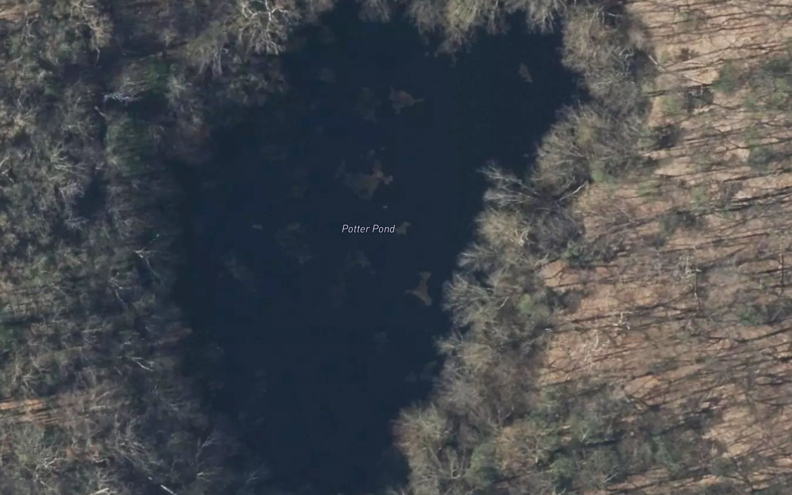 Potter Pond