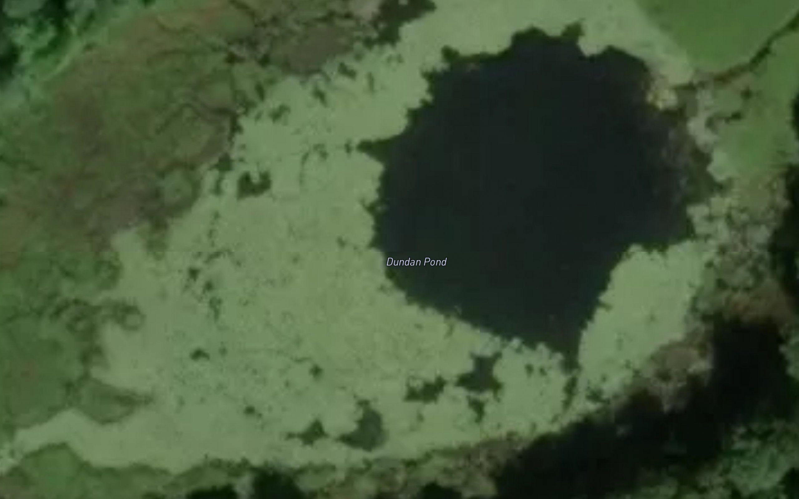 Duncan Pond