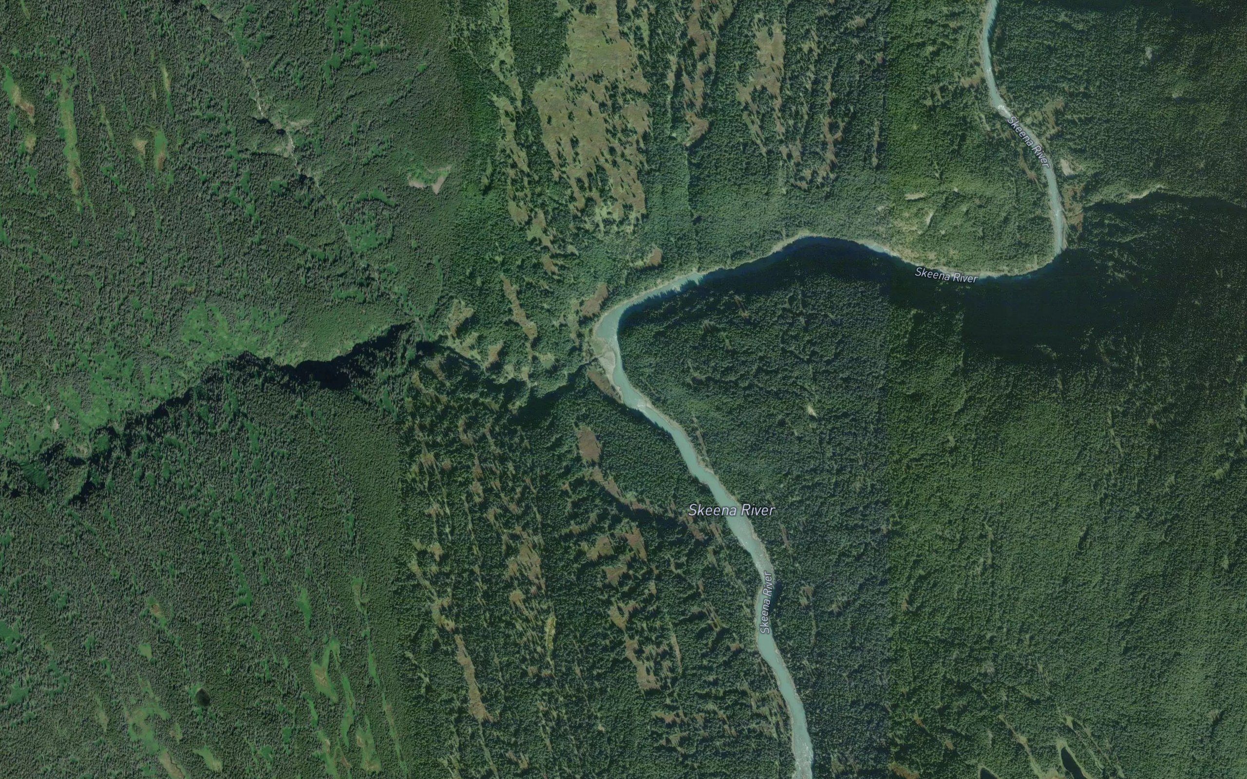 Poison Creek