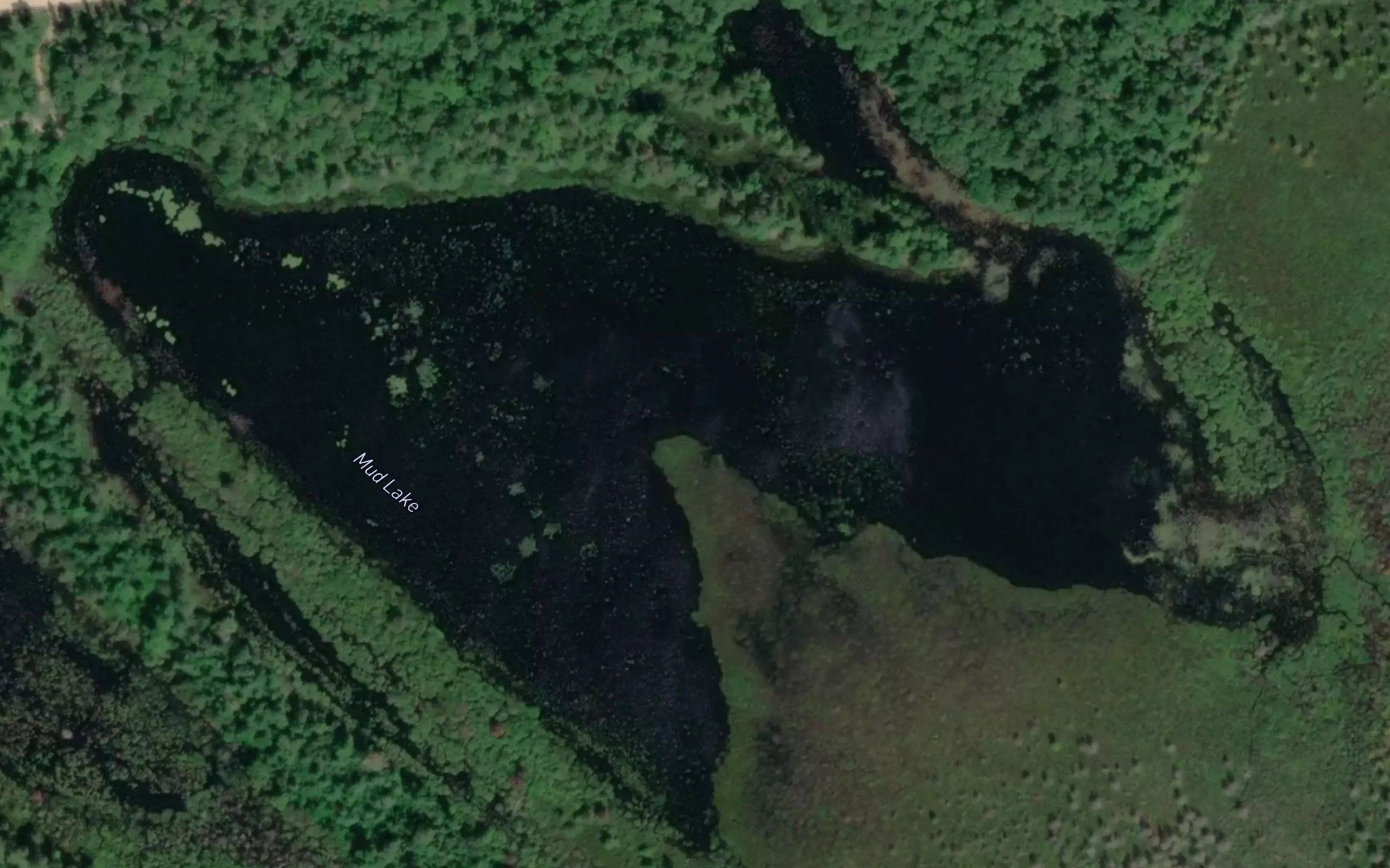 Mud Lake