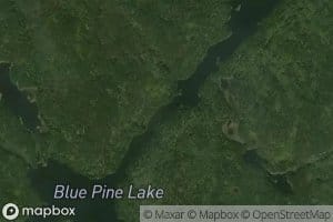 Blue Pine Lake
