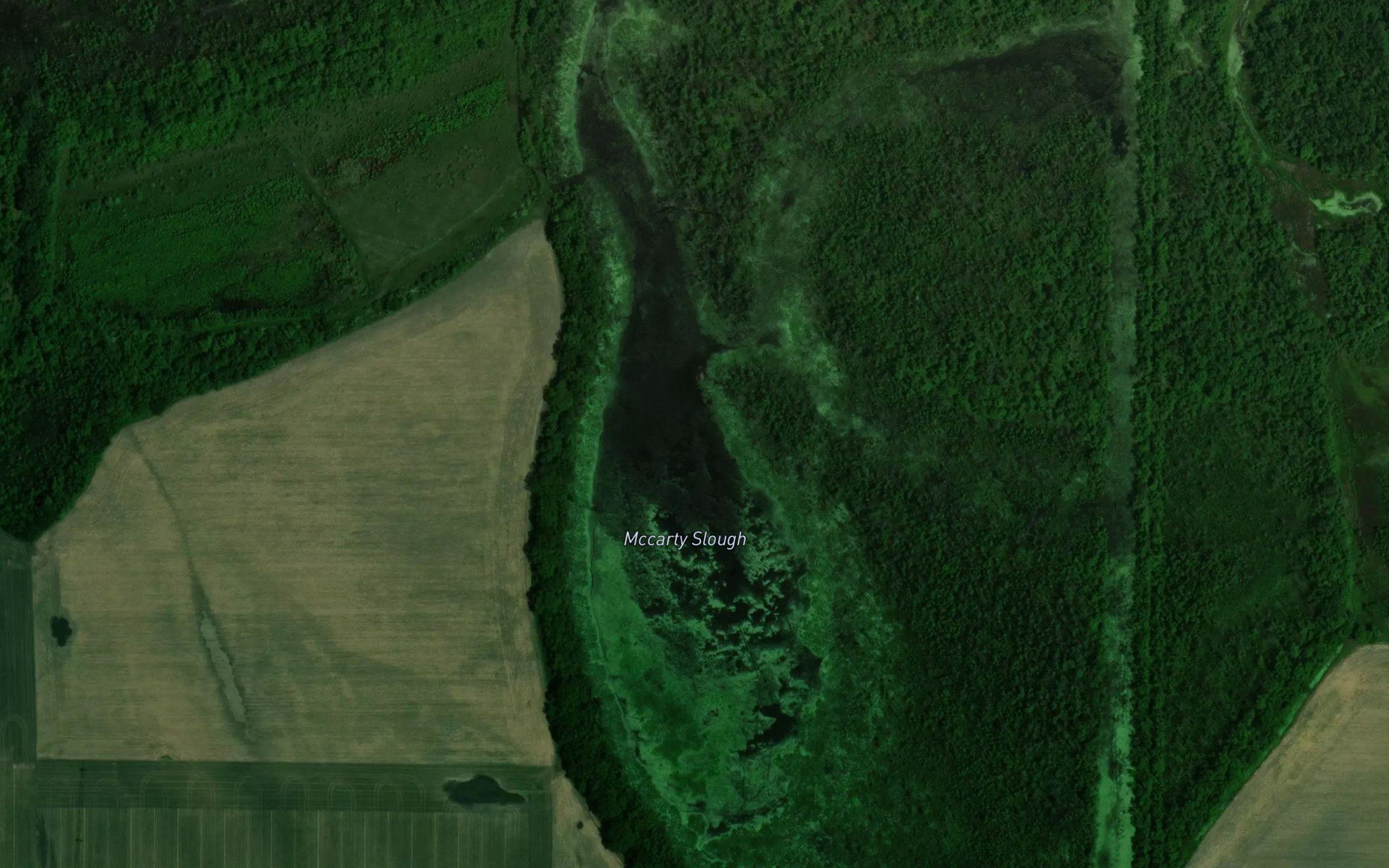 McCarty Slough