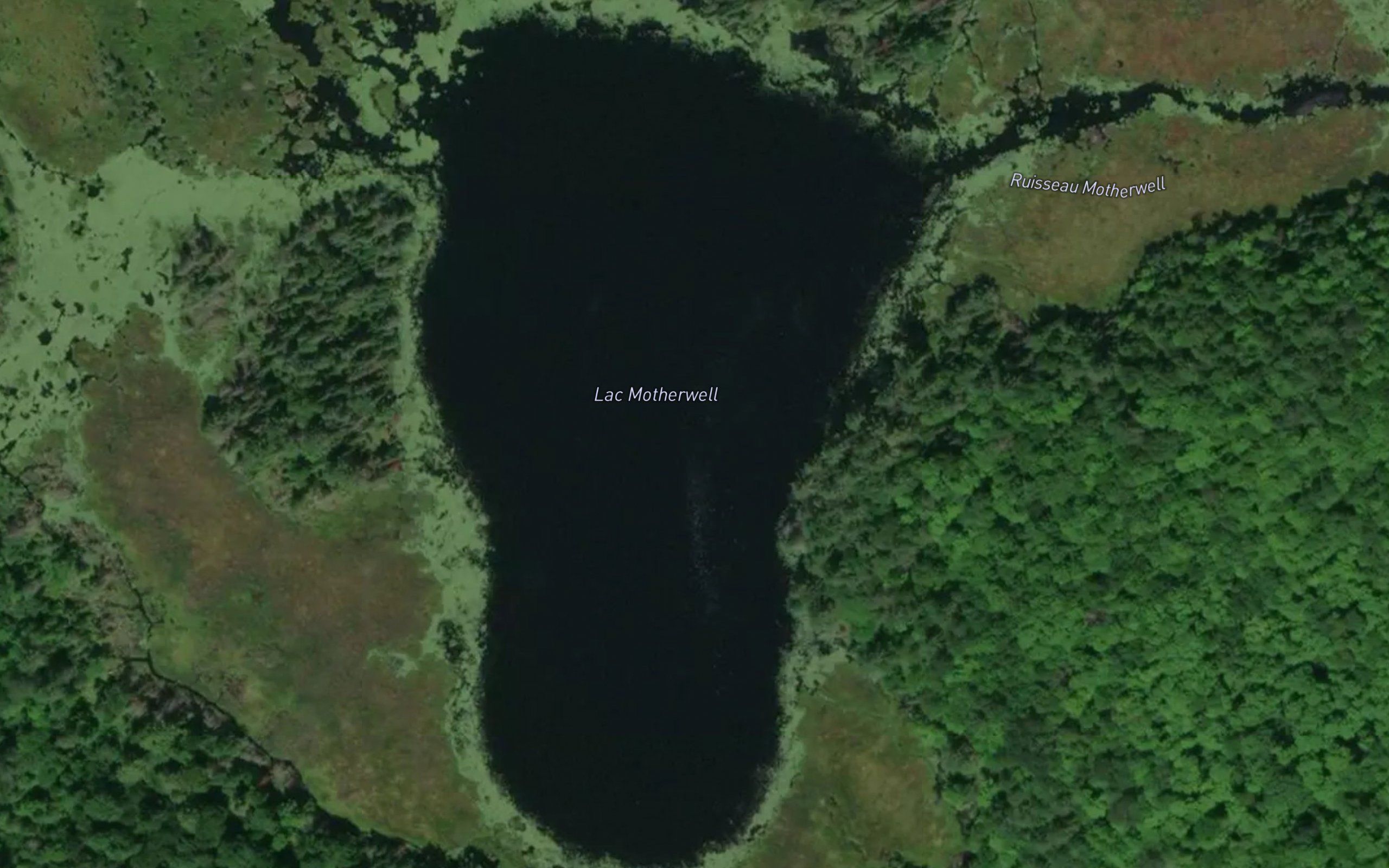 Lac Motherwell