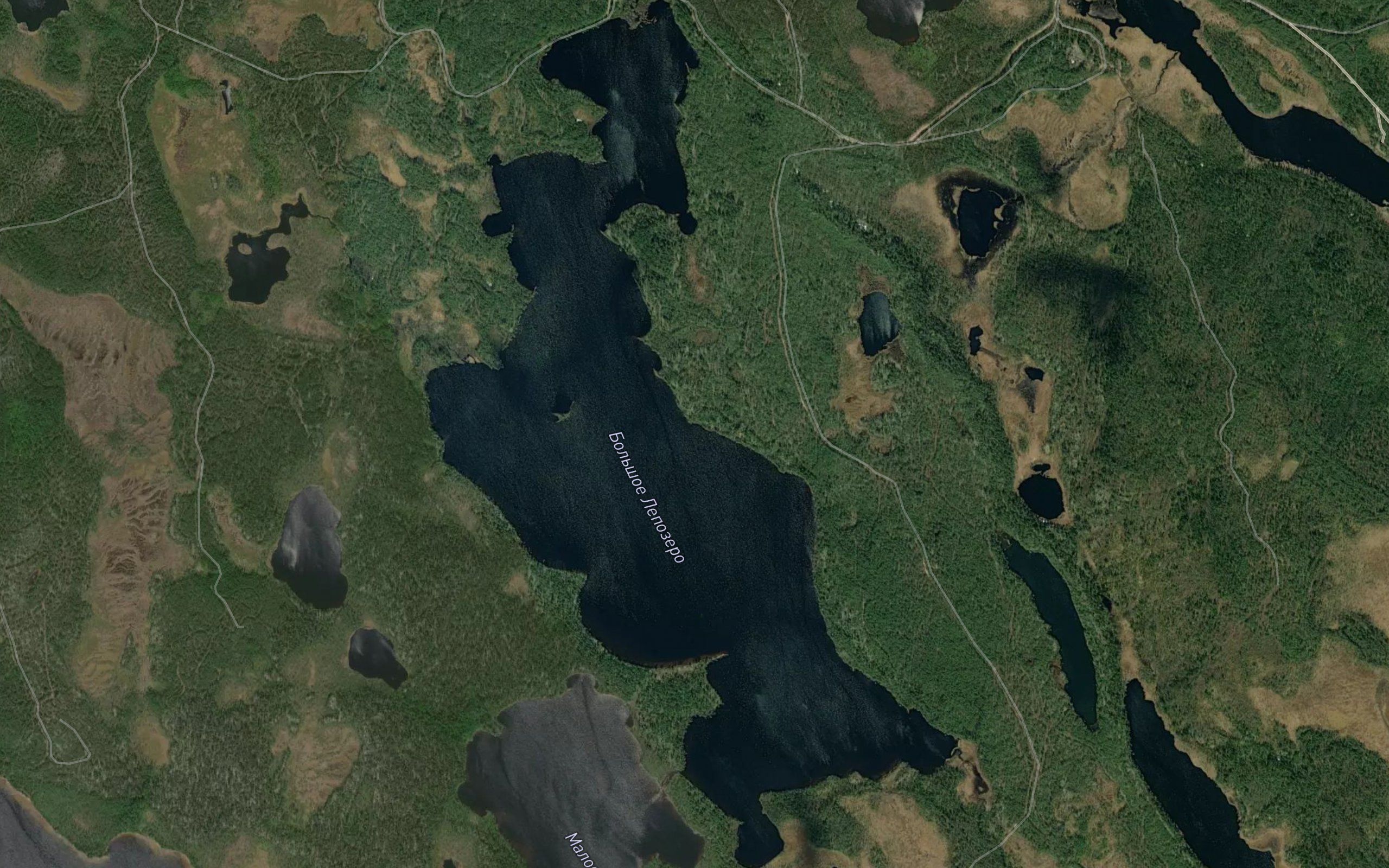 Lepozero