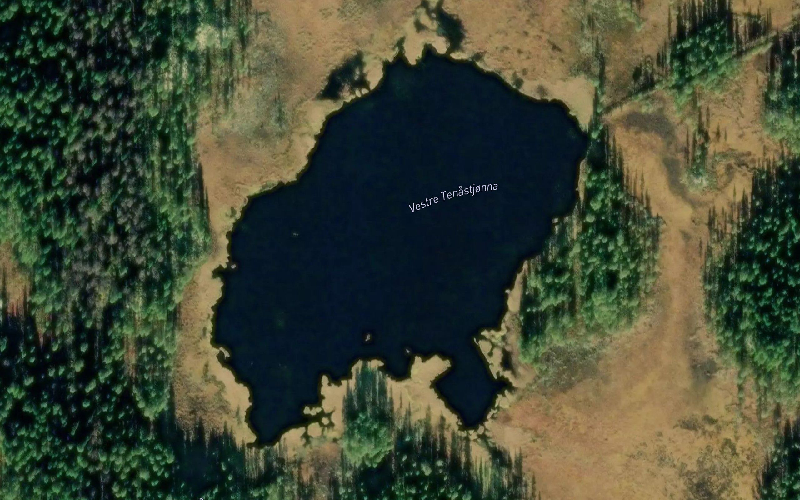 Tenastjorn,vestre