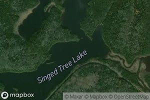 Singed Tree Lake