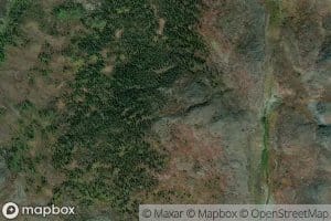 Moores Island Tickle