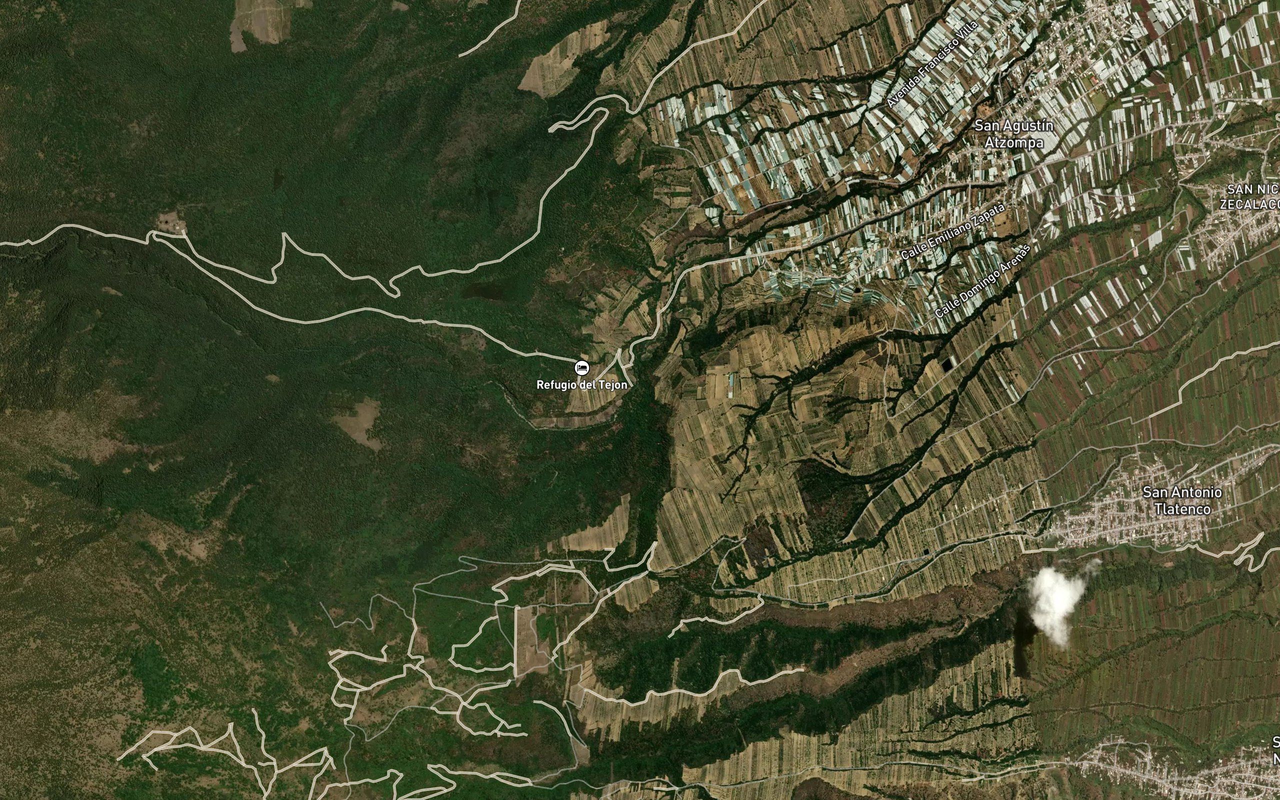 Cotzala