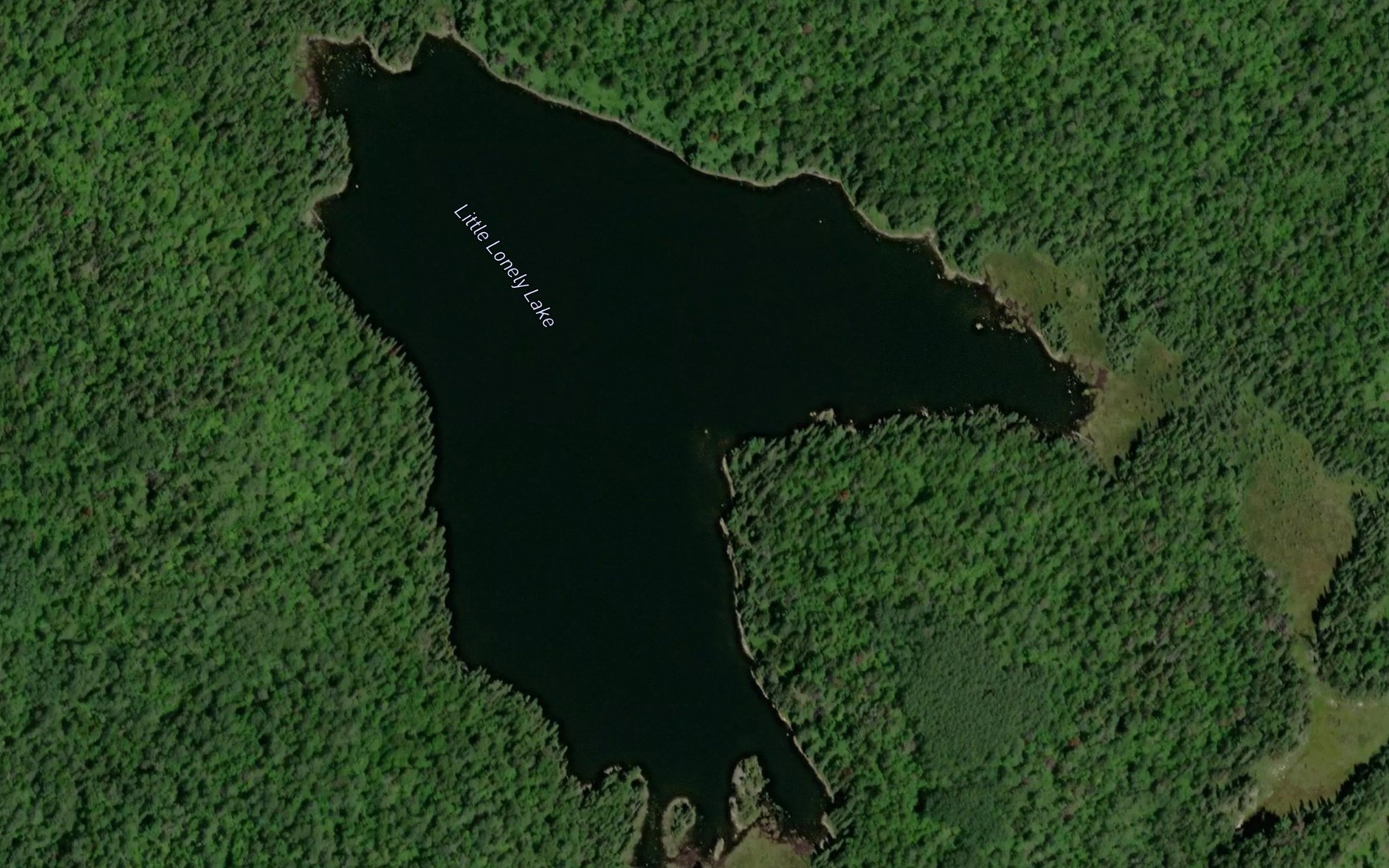 Satellite map of the Little Lonely Lake