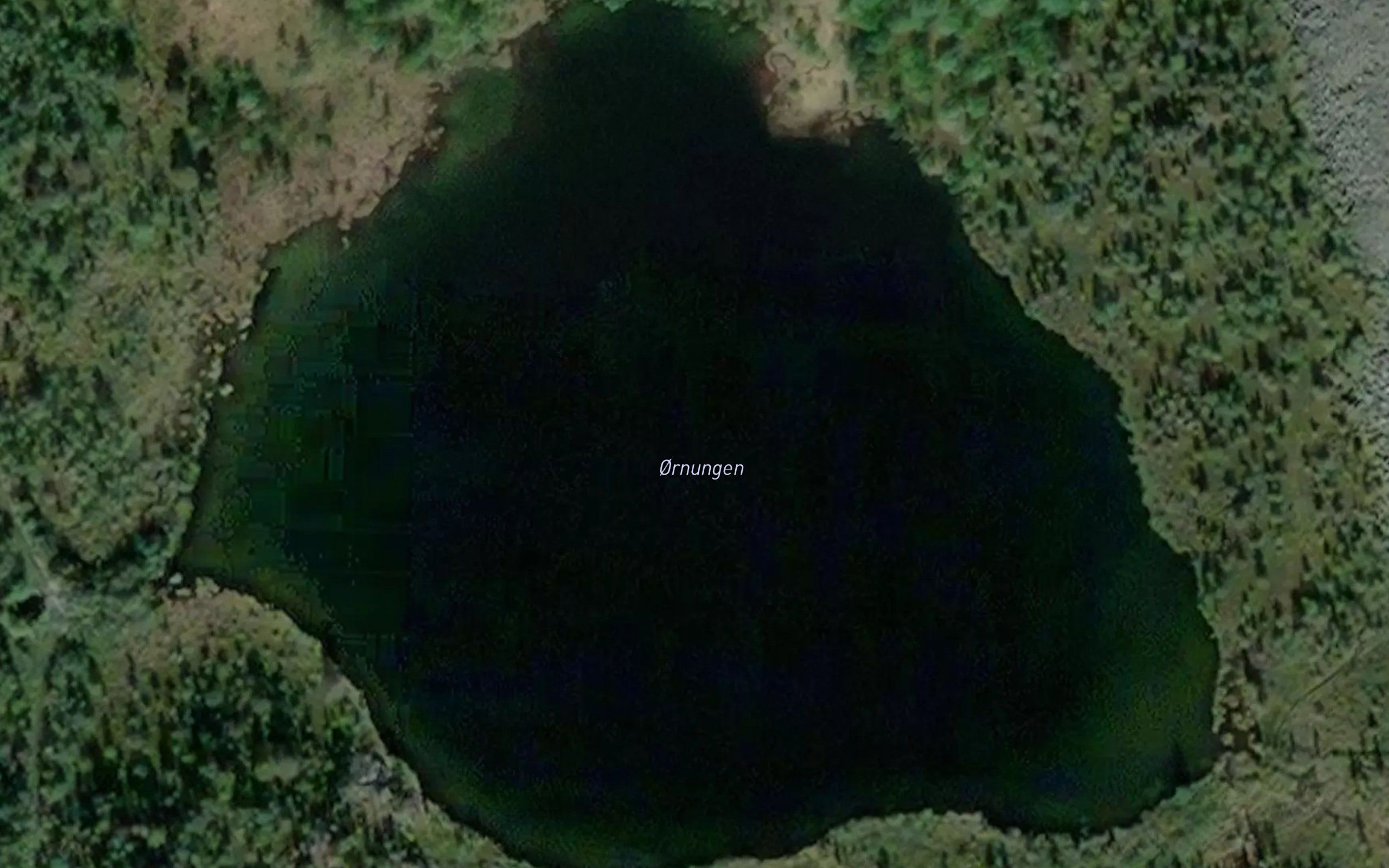 Ornungen
