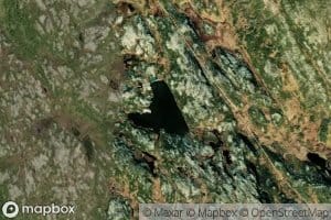 Damtjorn