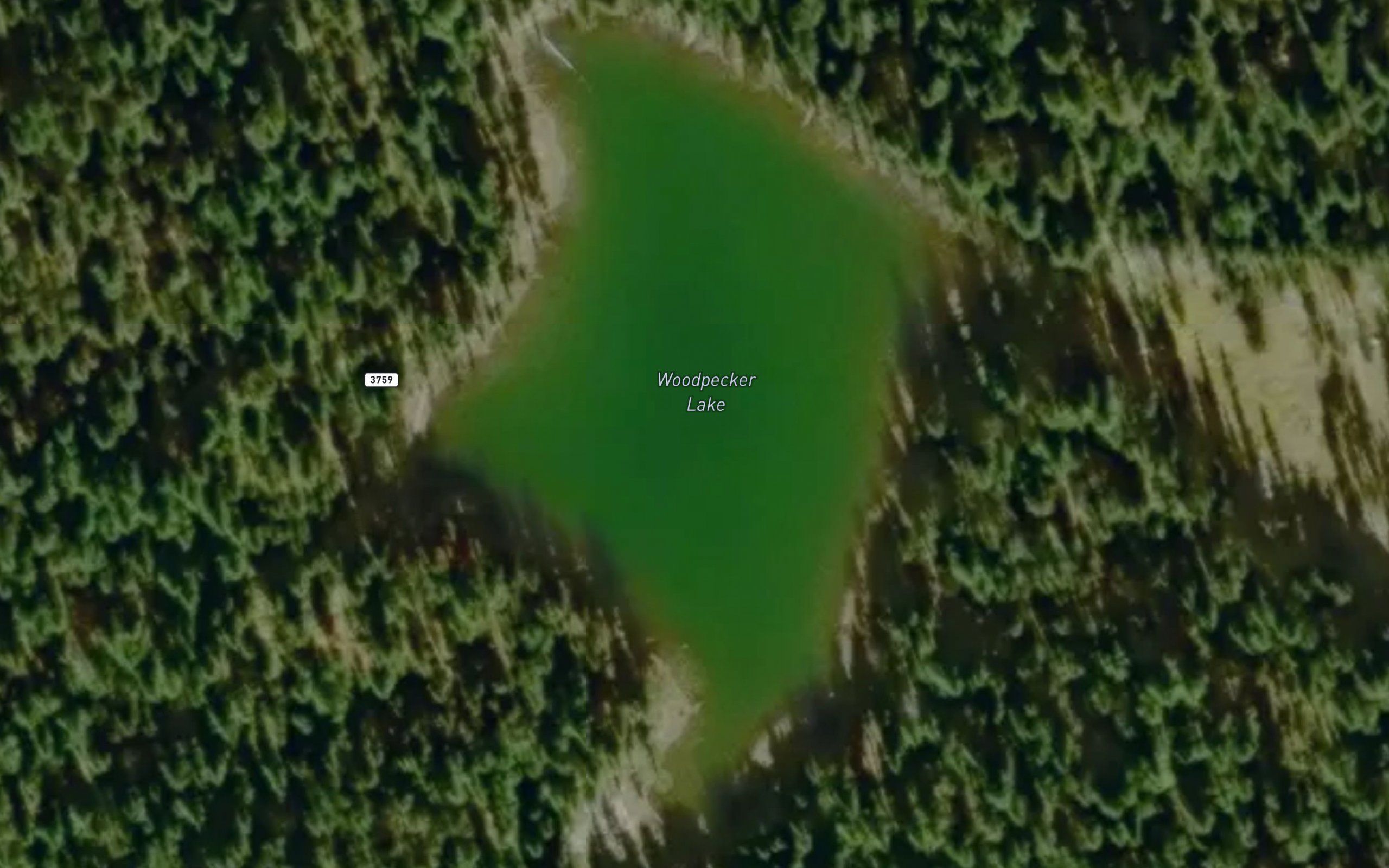 Woodpecker Lake