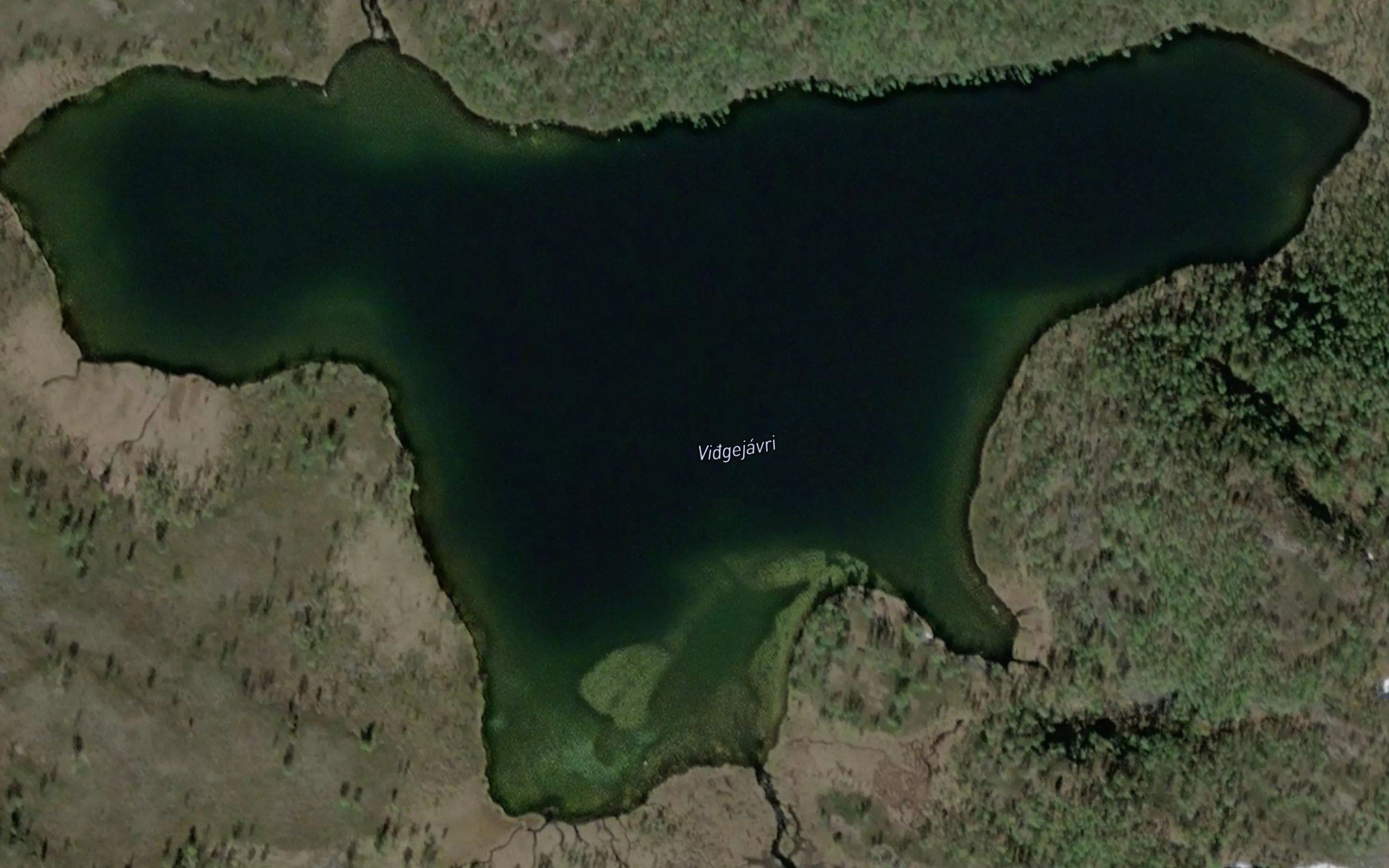 Viggeluoktjavri