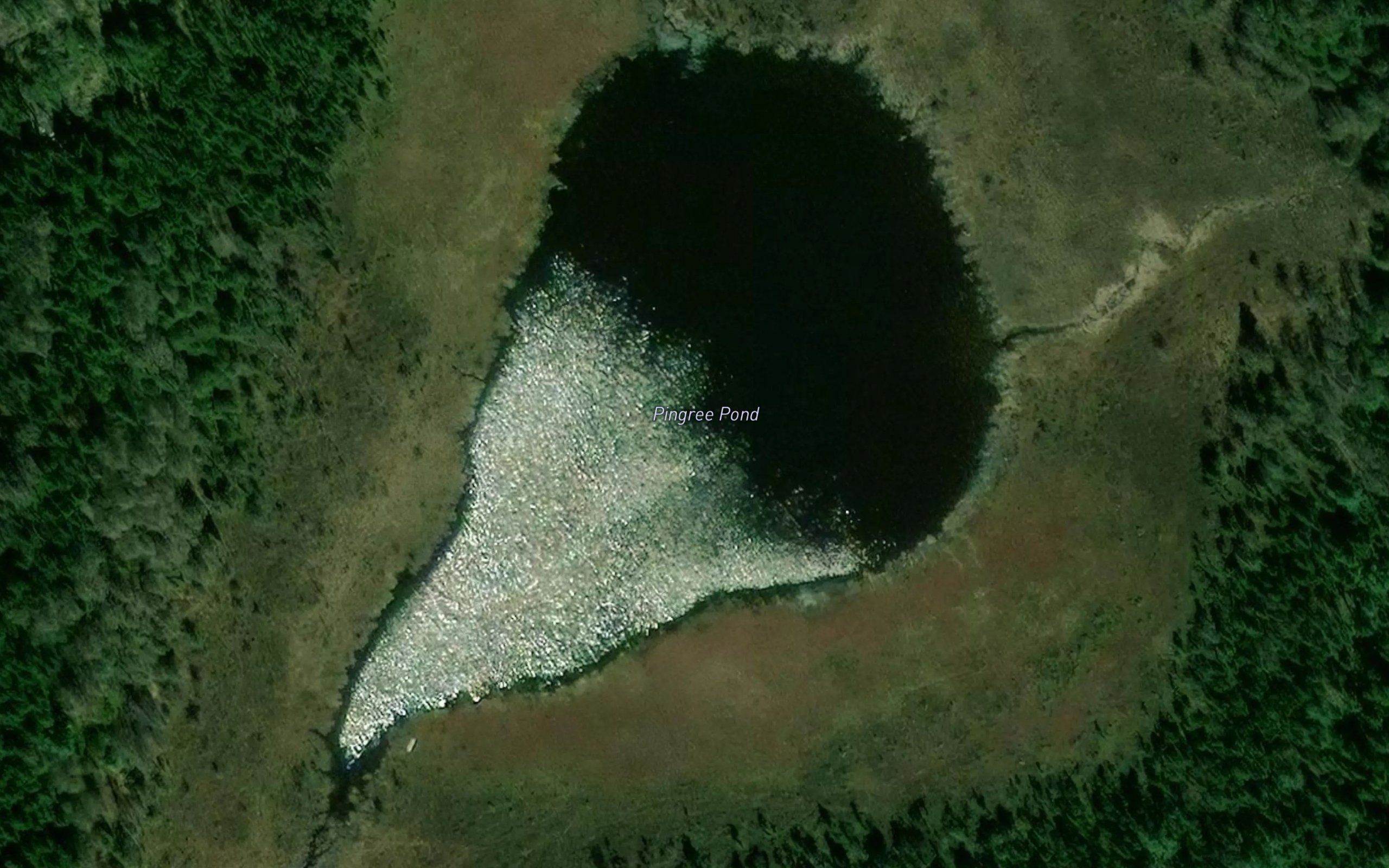 Pingree Pond