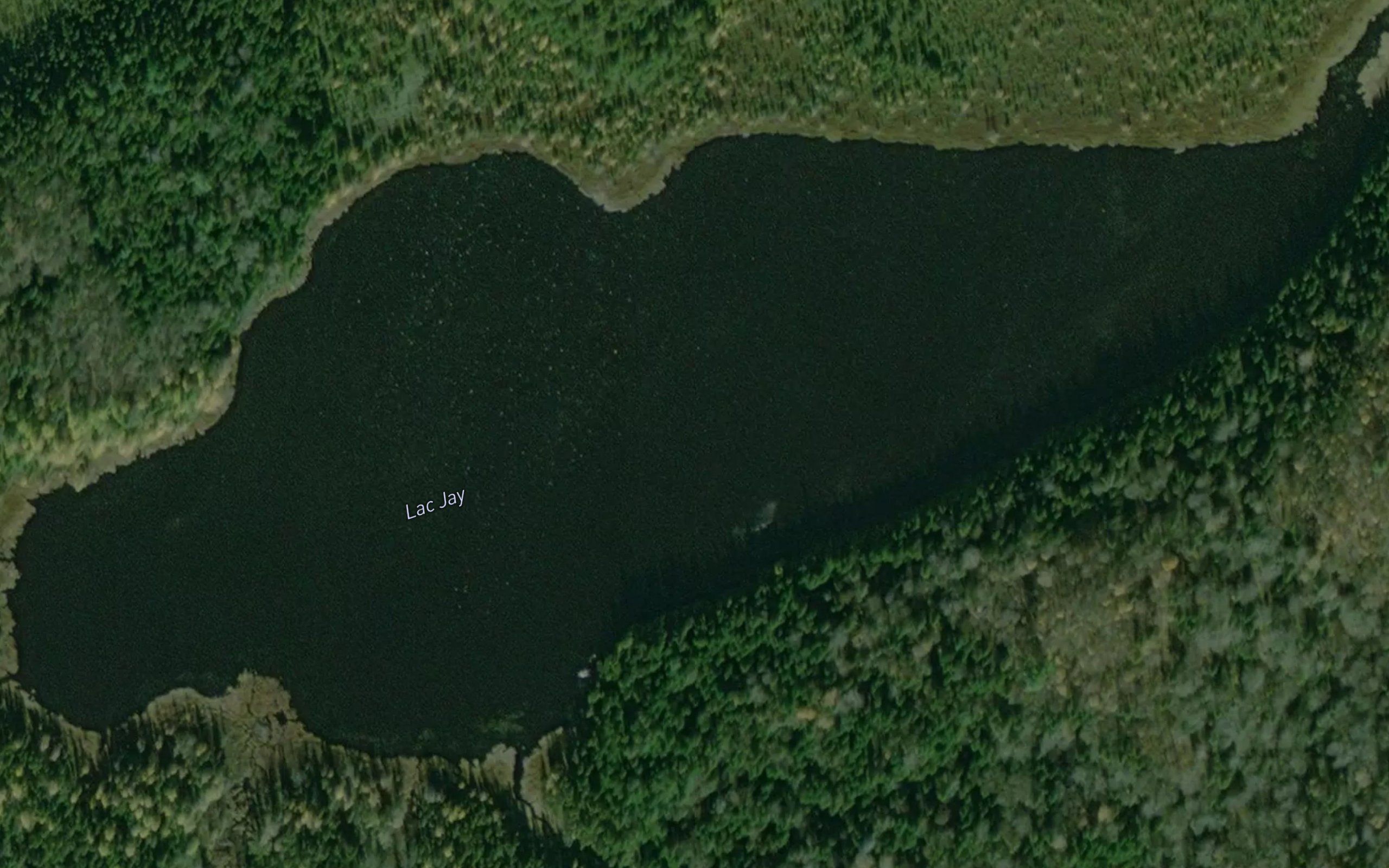 Lac Jay