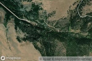 South Fork Cottonwood Creek