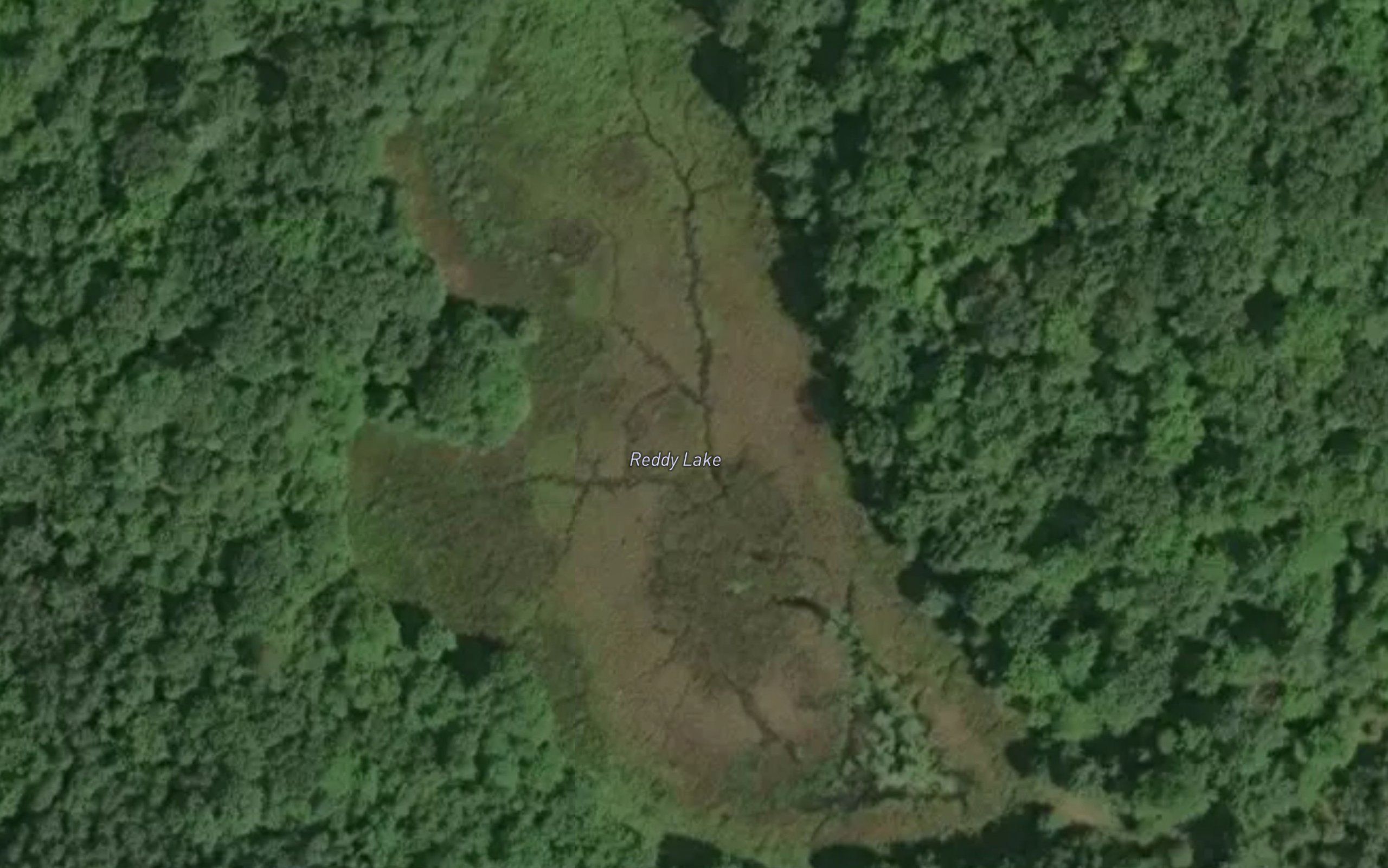 Reddy Lake