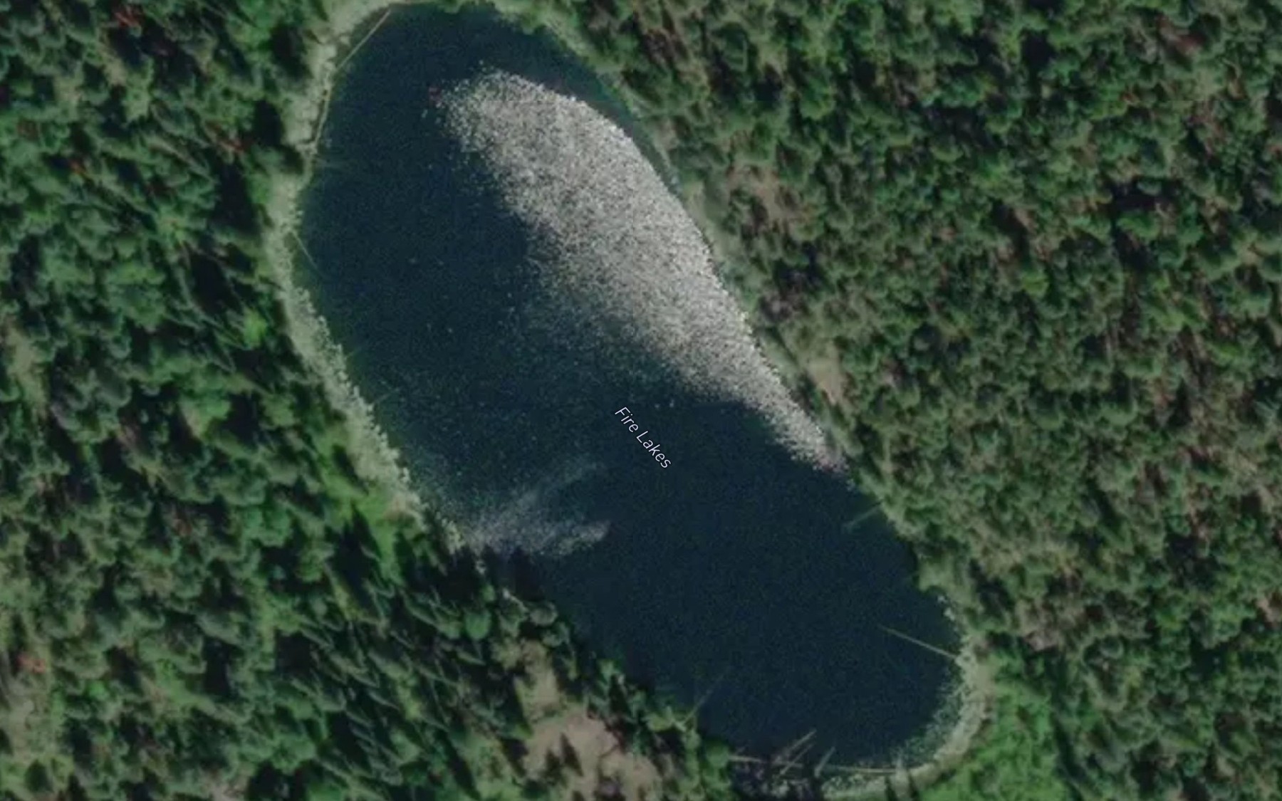 Satellite map of the Burnt Lake