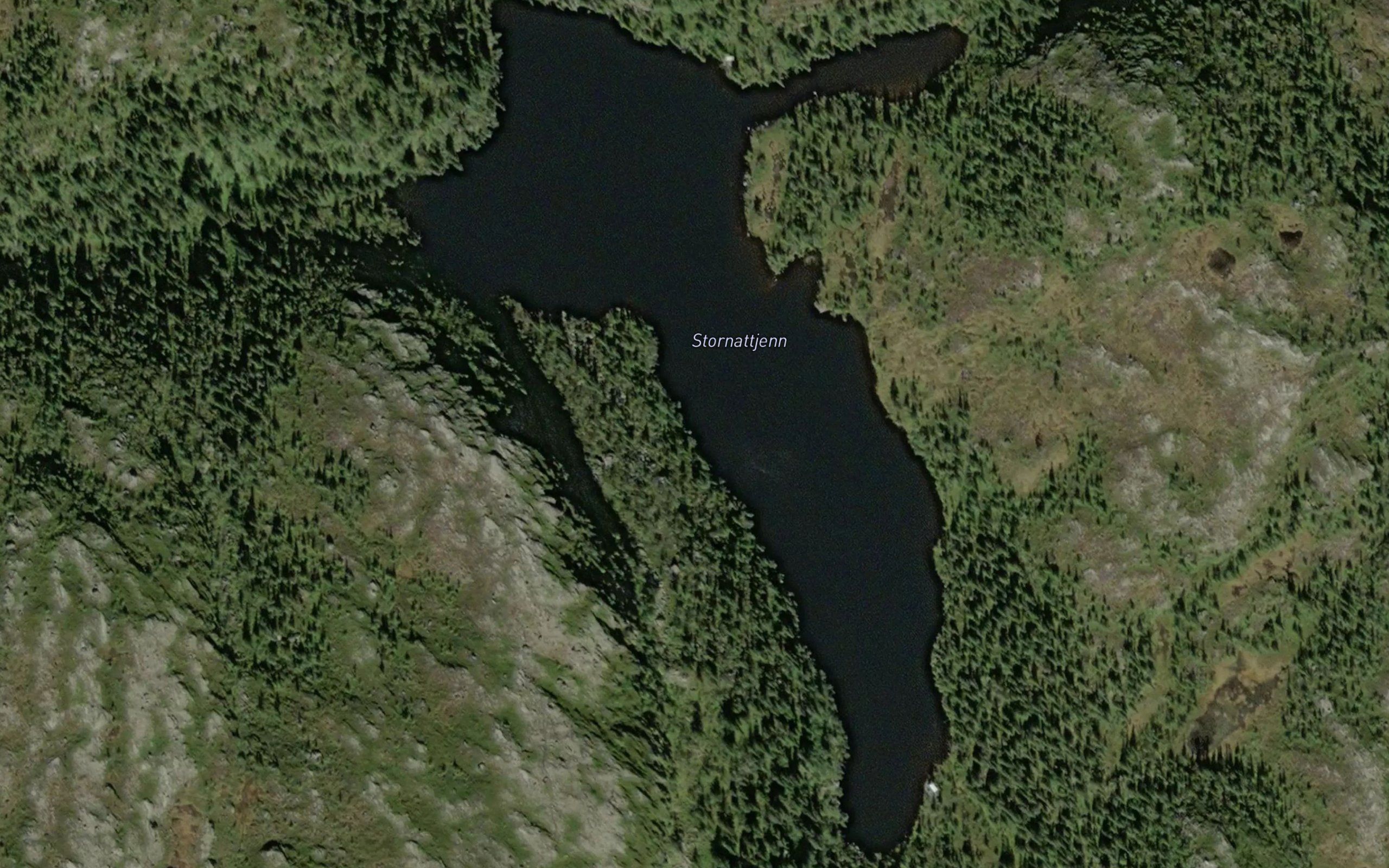 Stornattjern