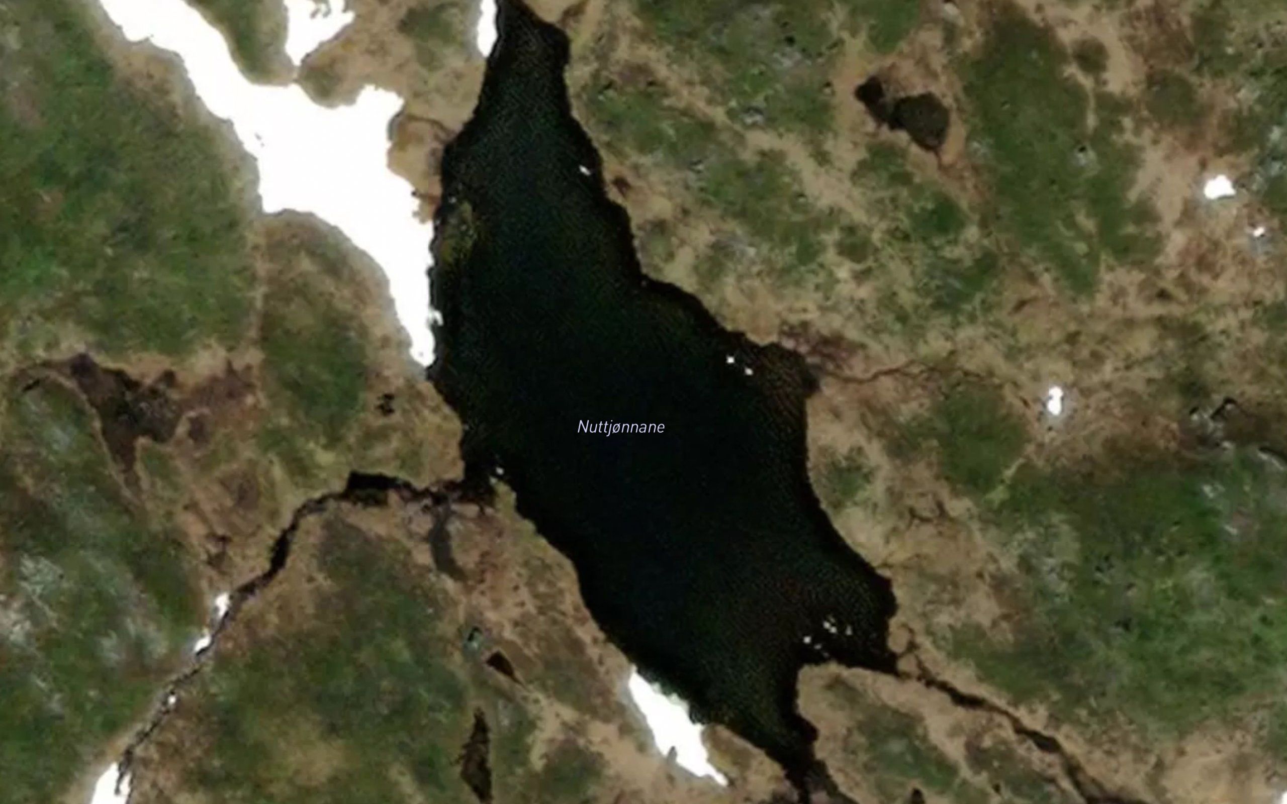 Nuttjornane