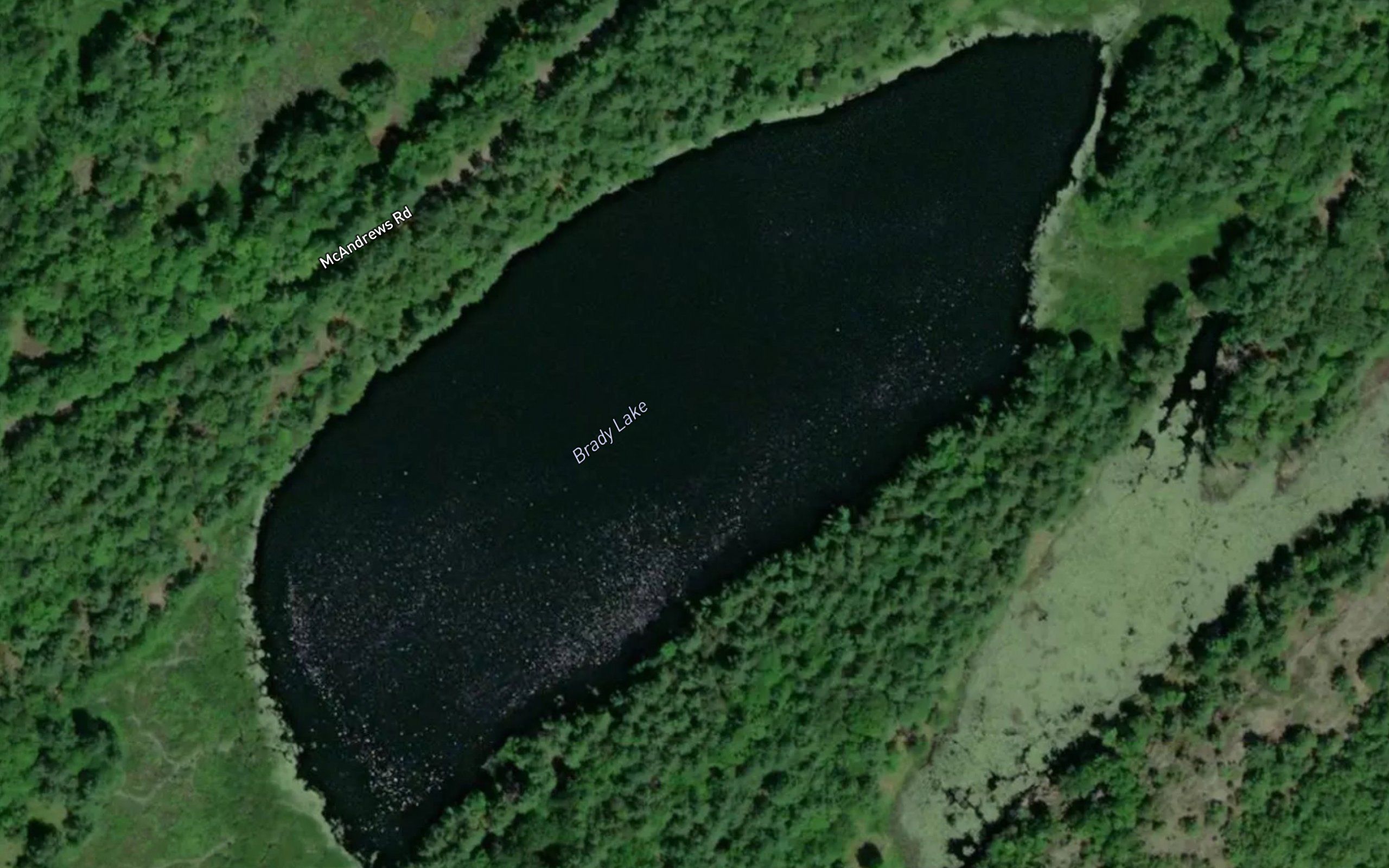 Brady Lake