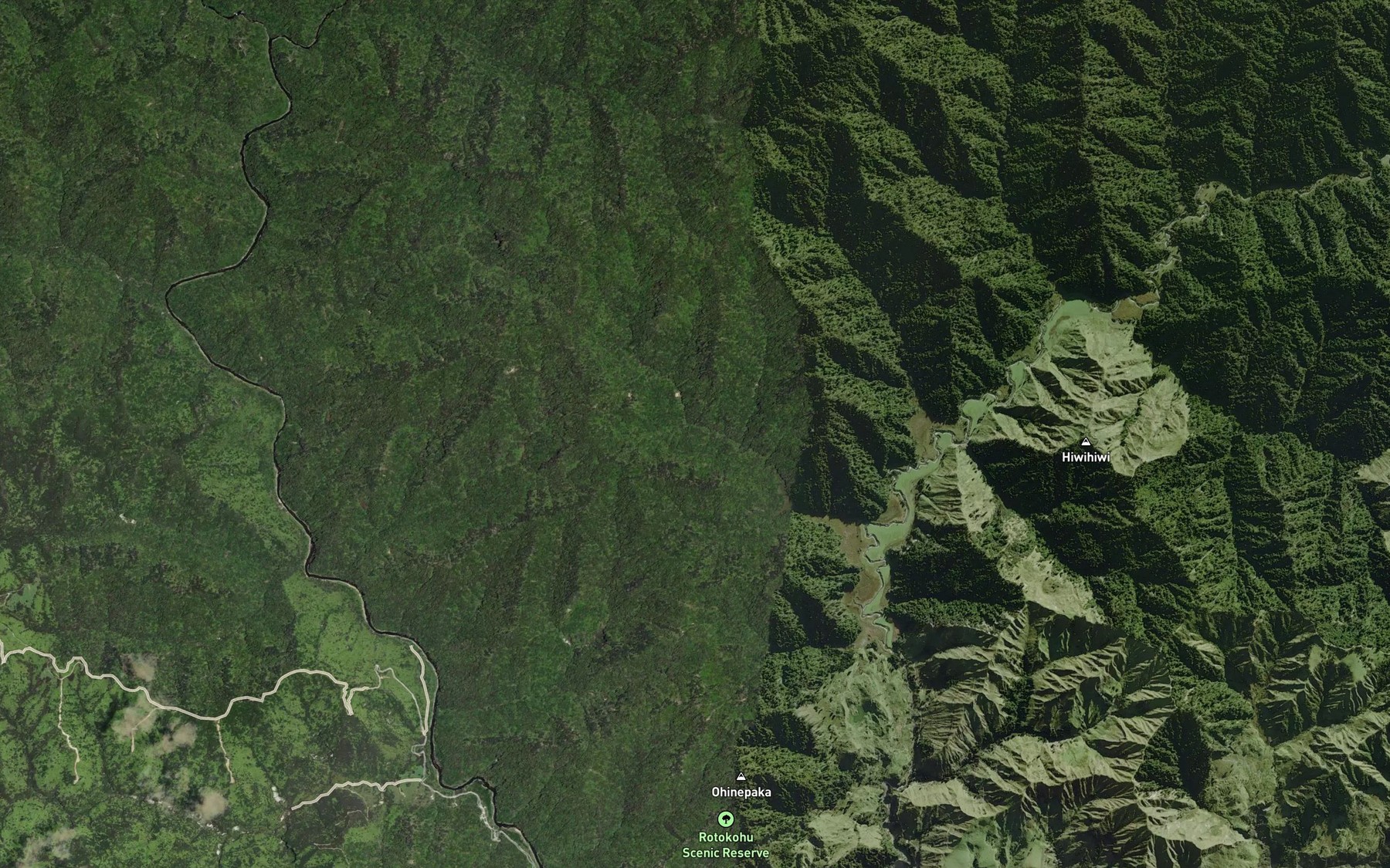 Satellite map of the Lake Rotokohu