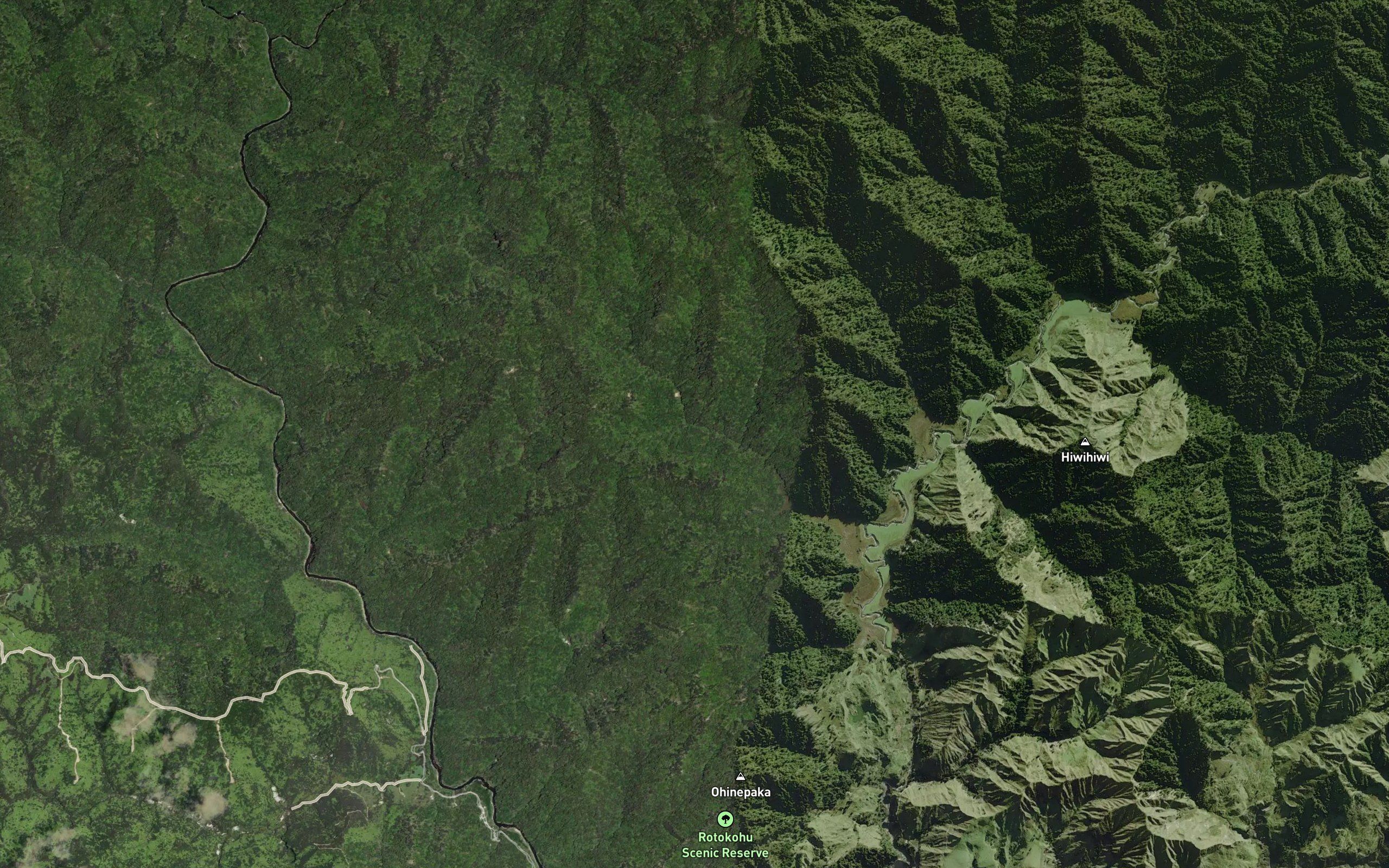 Lake Rotokohu
